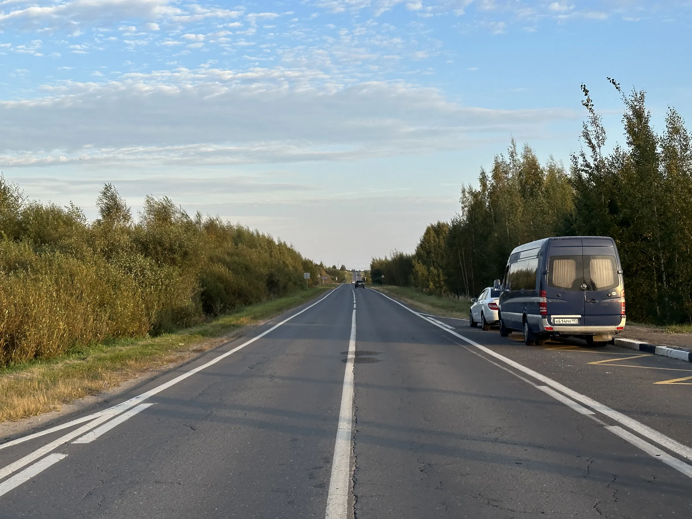 Дорога через лес, фото 3