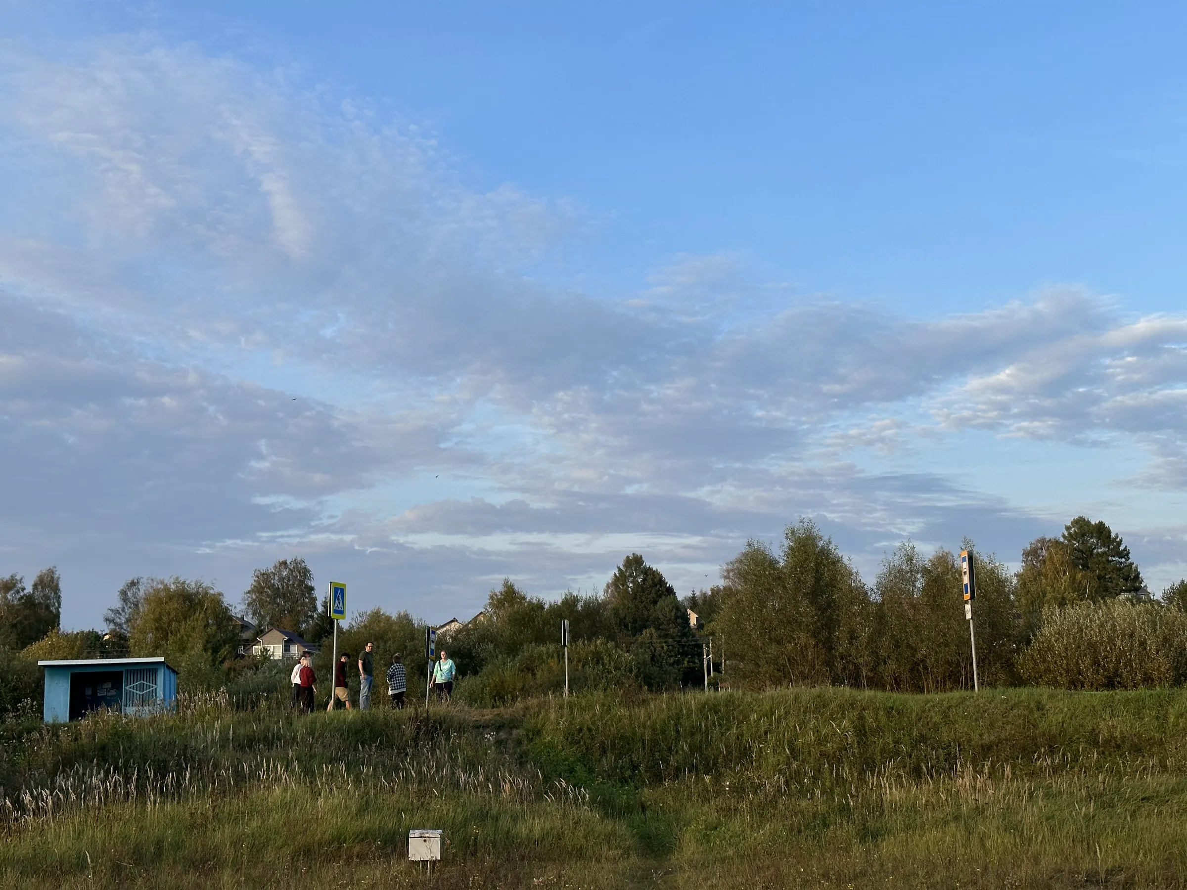 Дорога через лес, фото 5