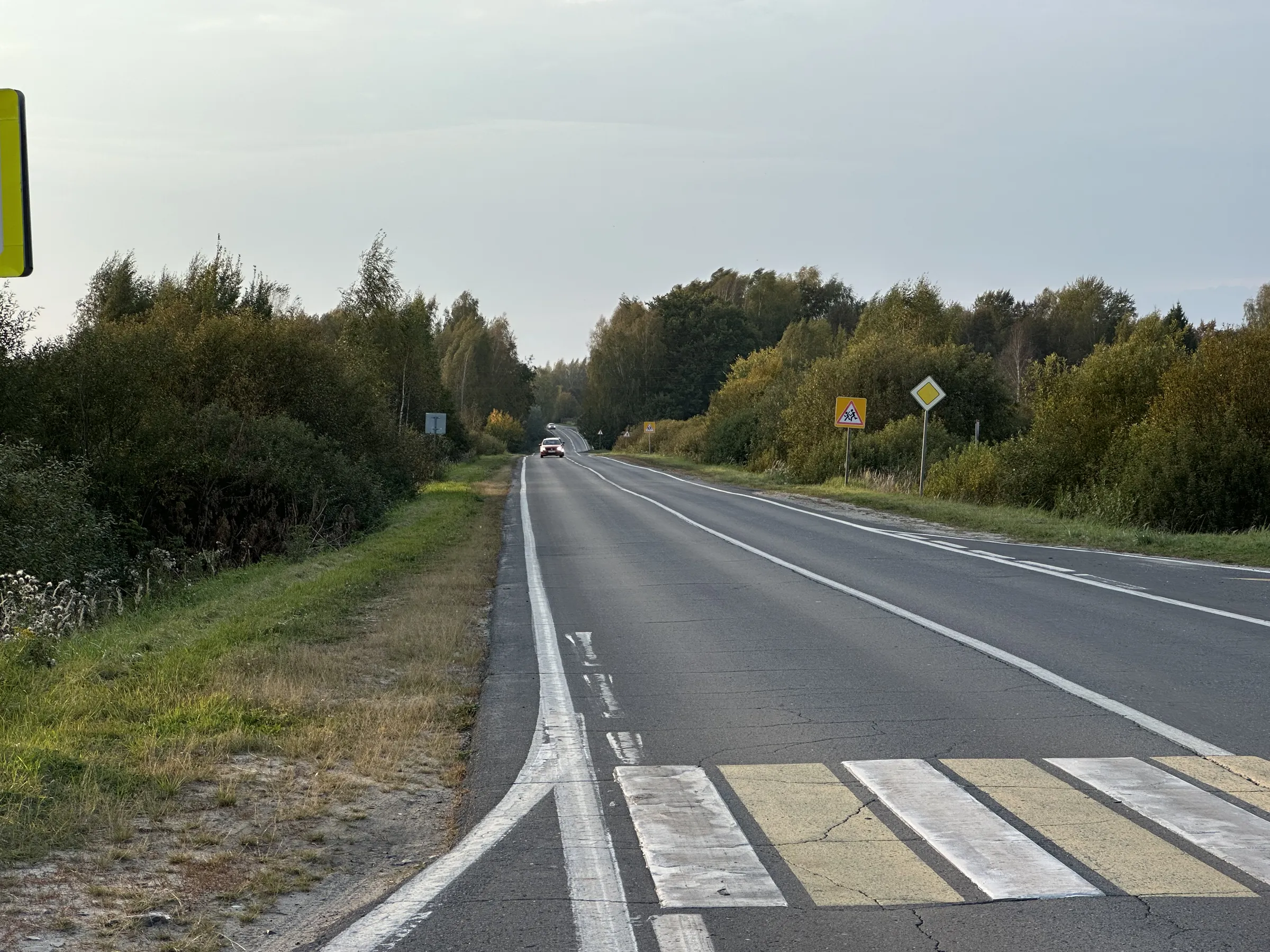 Дорога через лес, фото 2