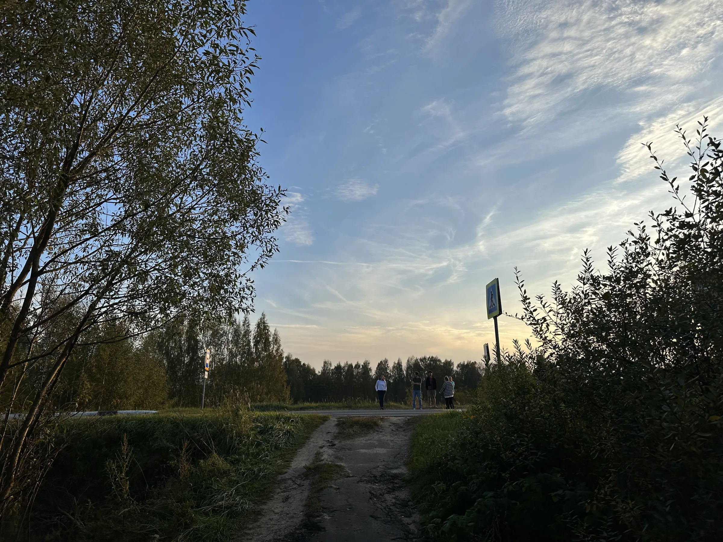 Дорога через лес, фото 8