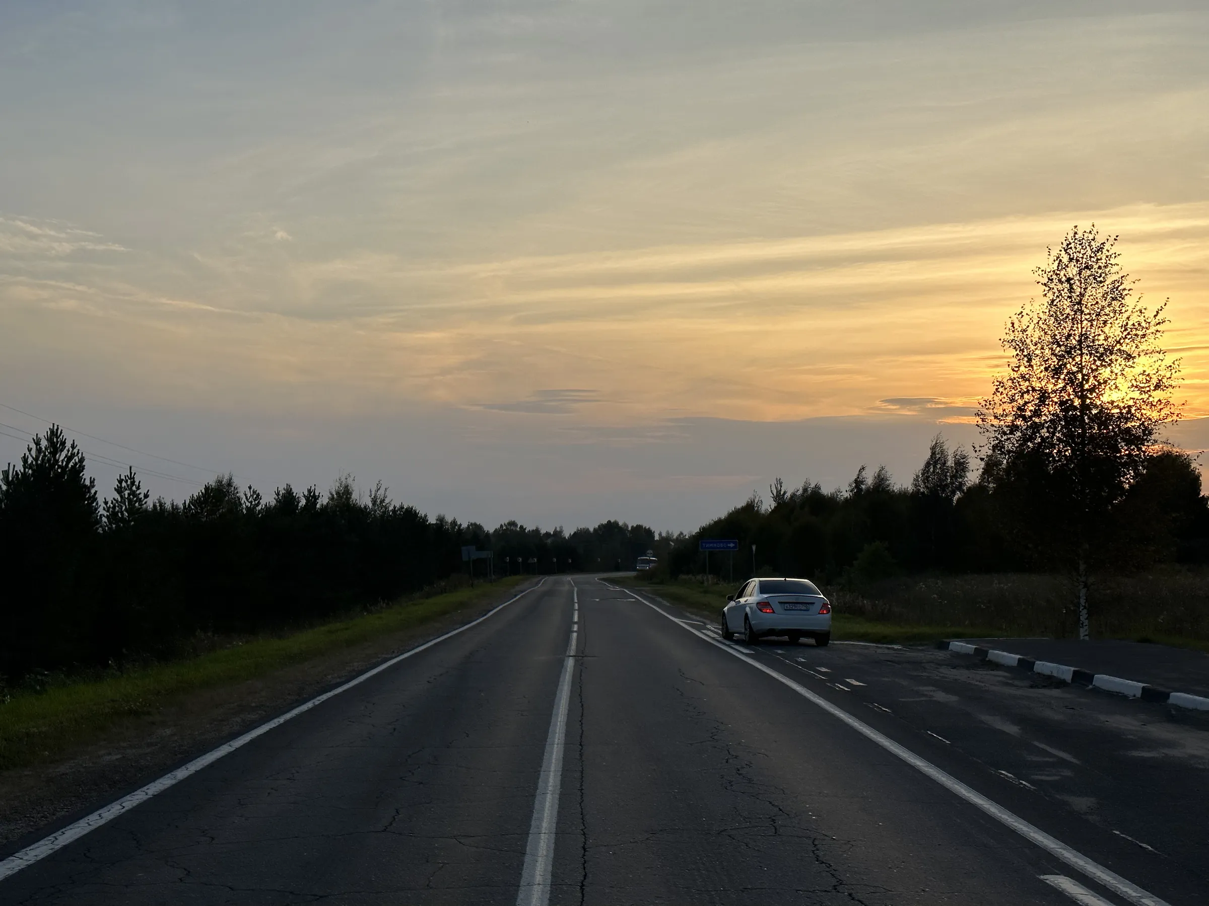 Дорога через лес, фото 9
