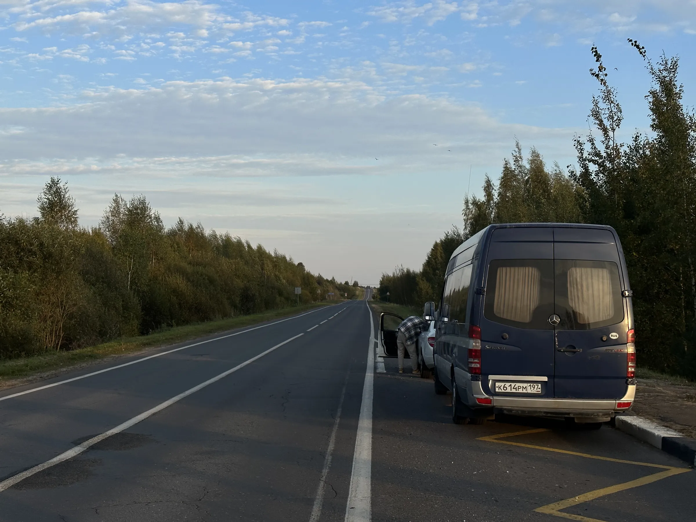 Дорога через лес, фото 1