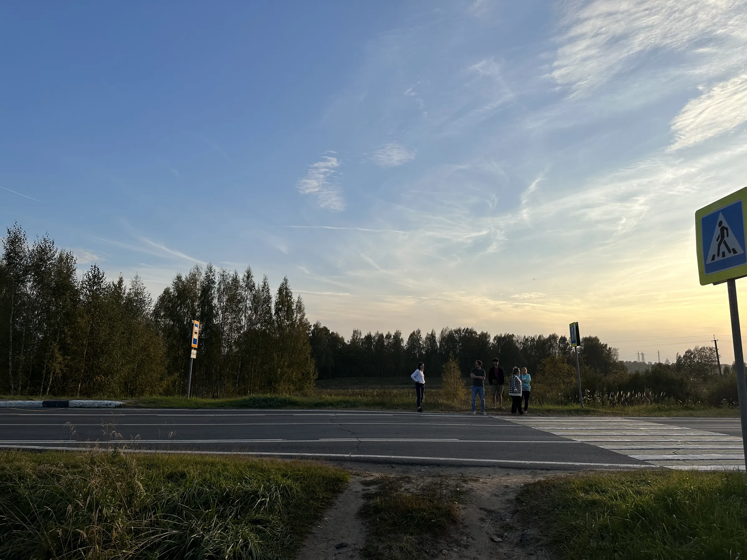 Дорога через лес, фото 6