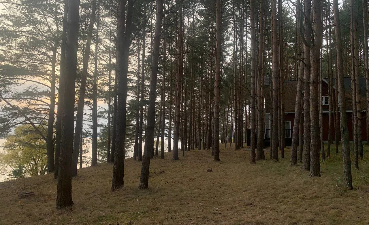 Лесной дом у озера, фото 2