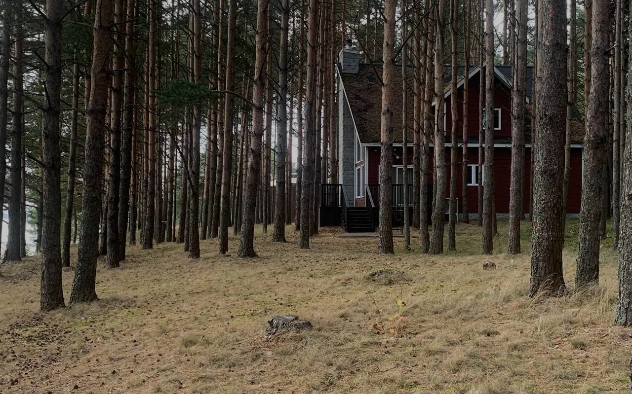 Лесной дом у озера, фото 6