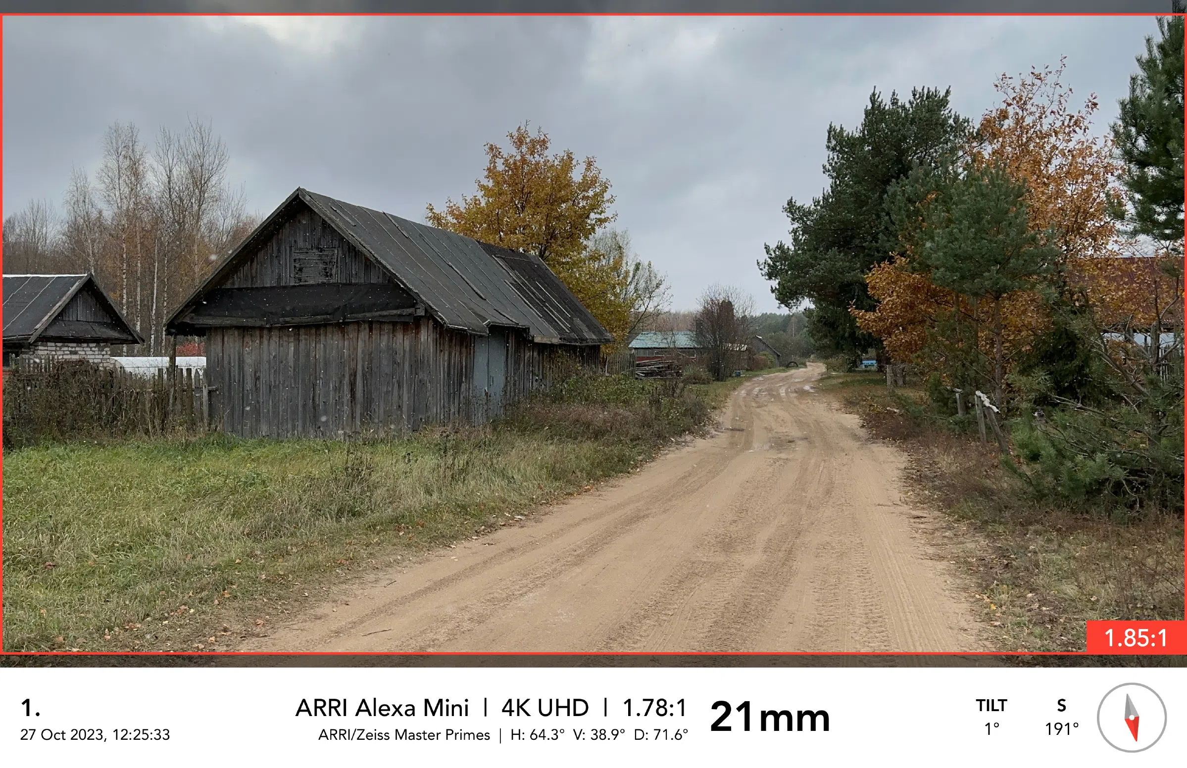 Деревенская дорога в лесу, фото 3