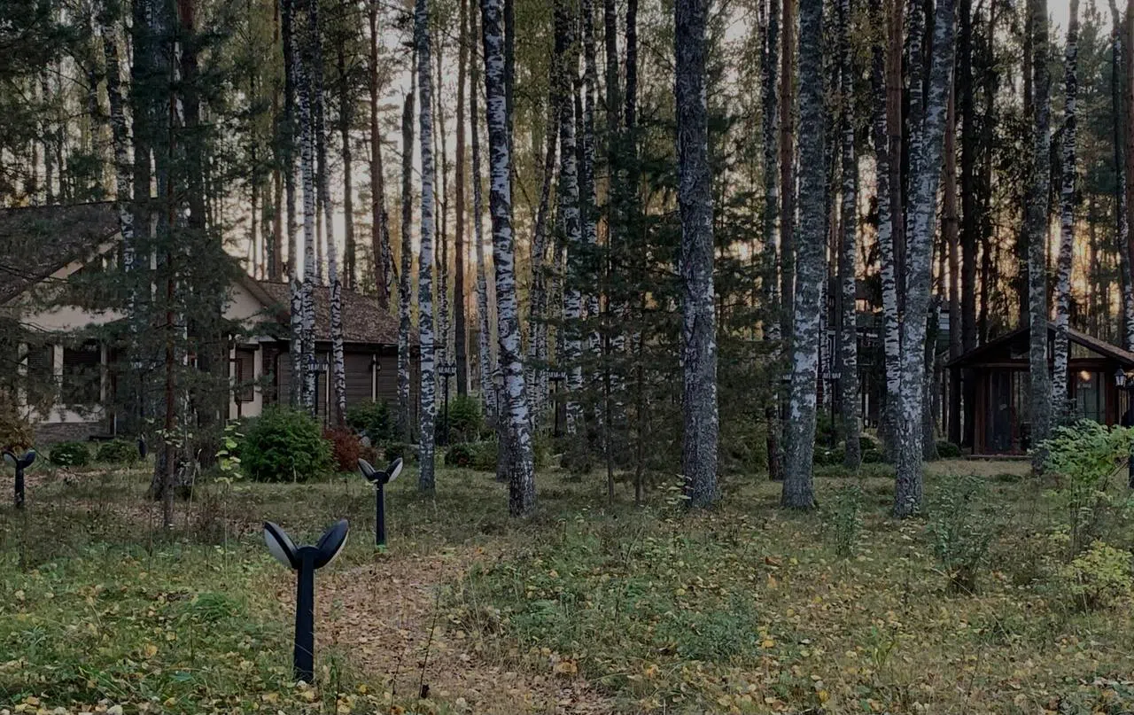 Усадьба в березовой роще, фото 18