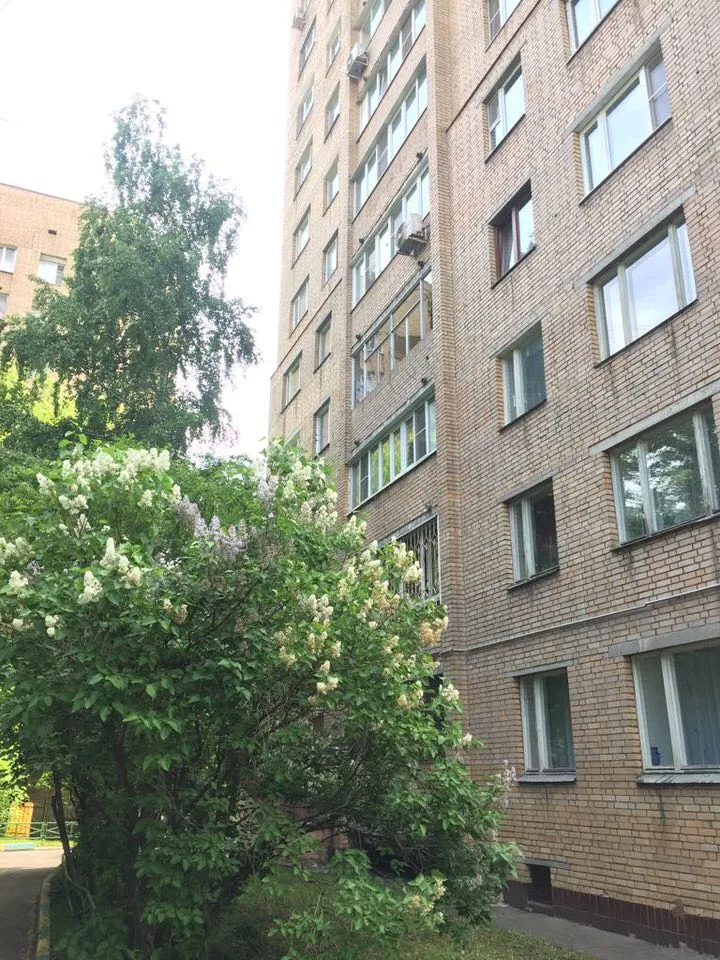 Сталинка с круглым светом, фото 10