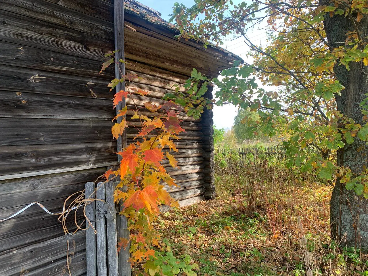 Изба с резными окнами, фото 17