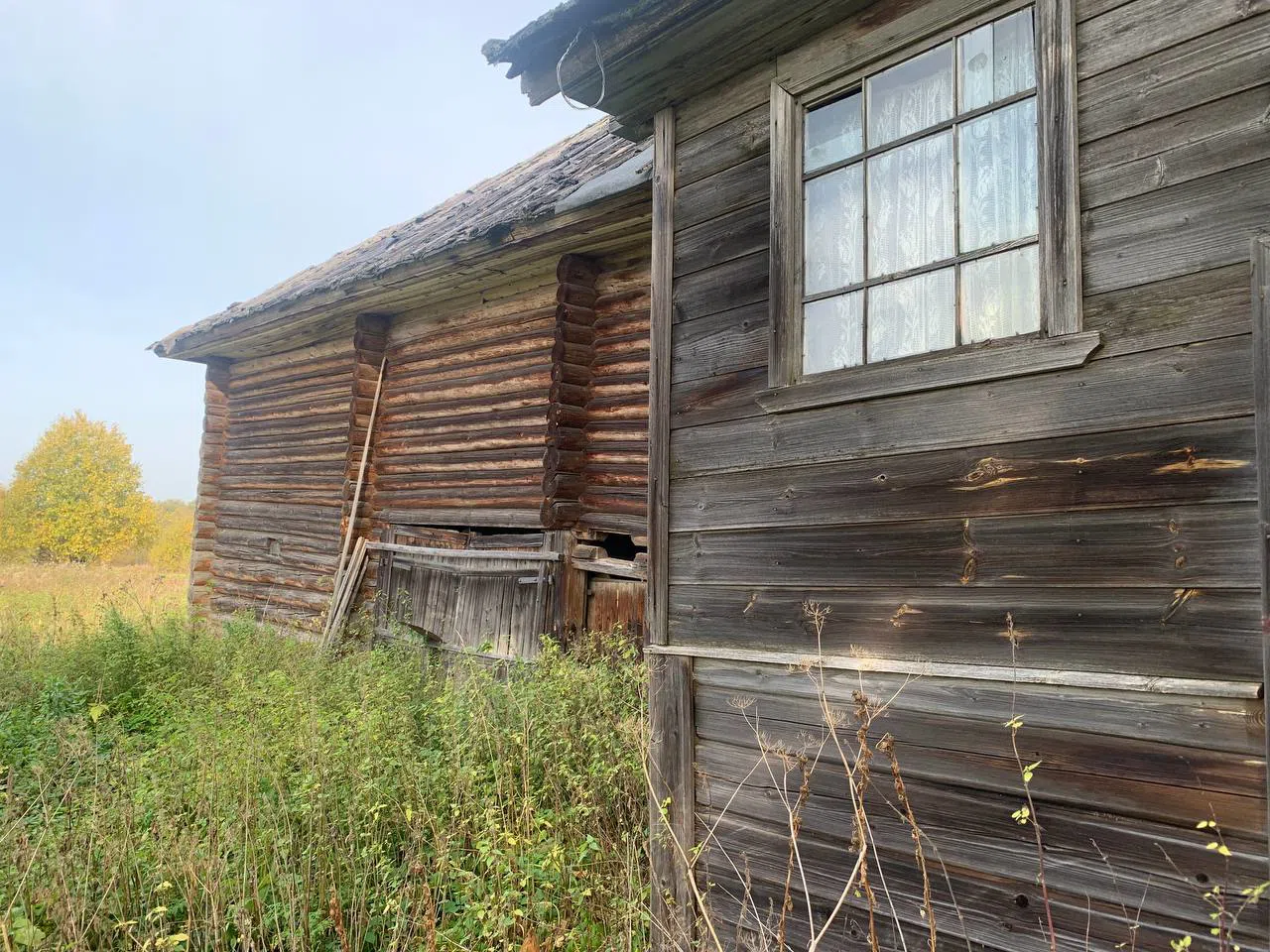 Изба с резными окнами, фото 24