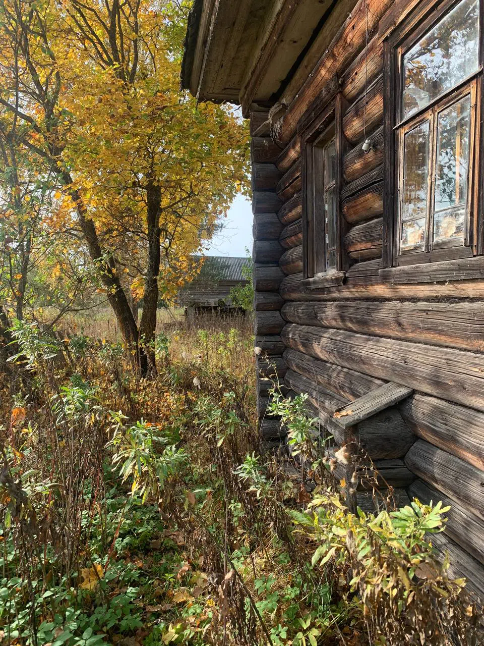 Изба с резными окнами, фото 14