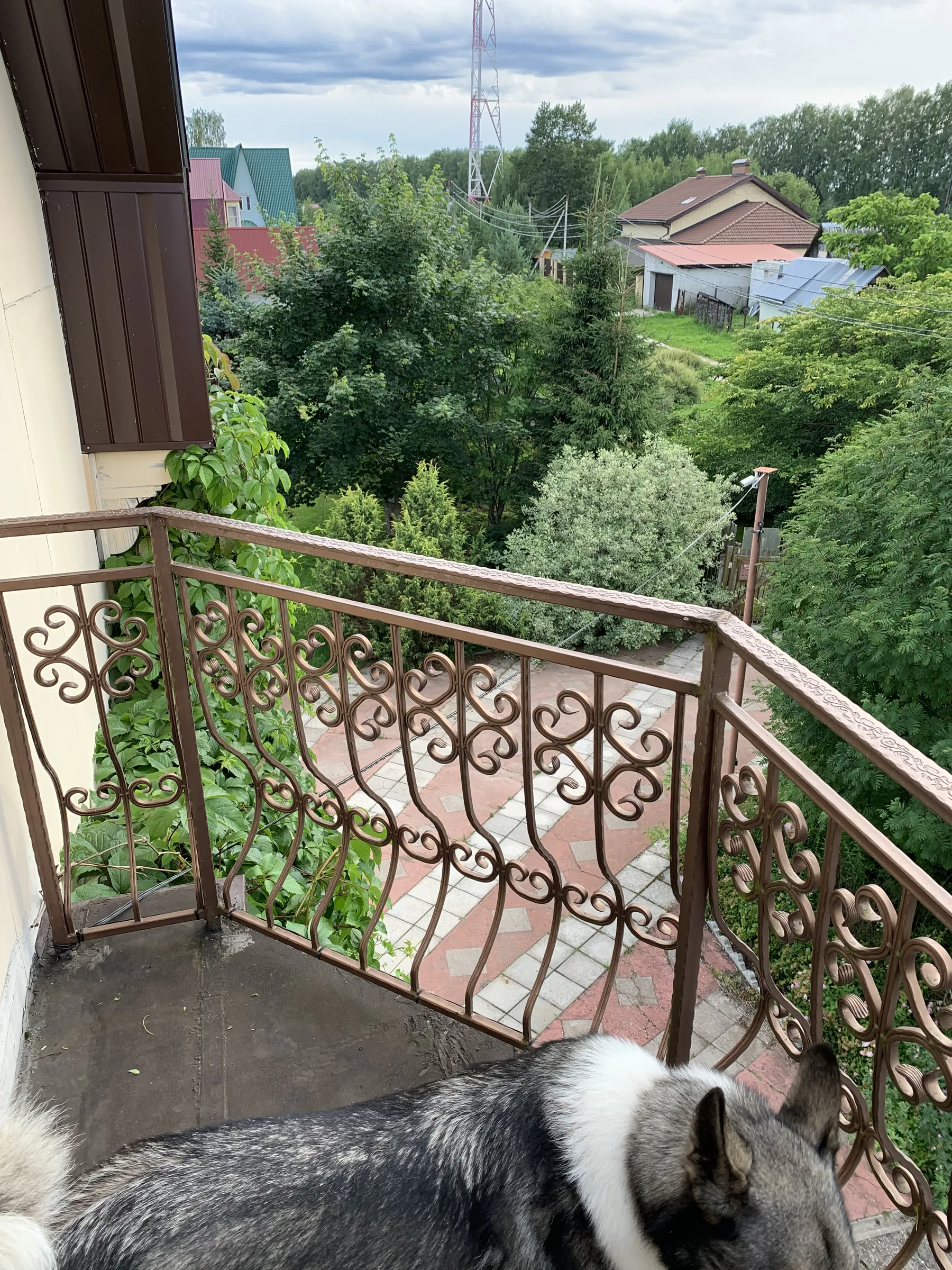 Плющевой дом с флюгером, фото 17