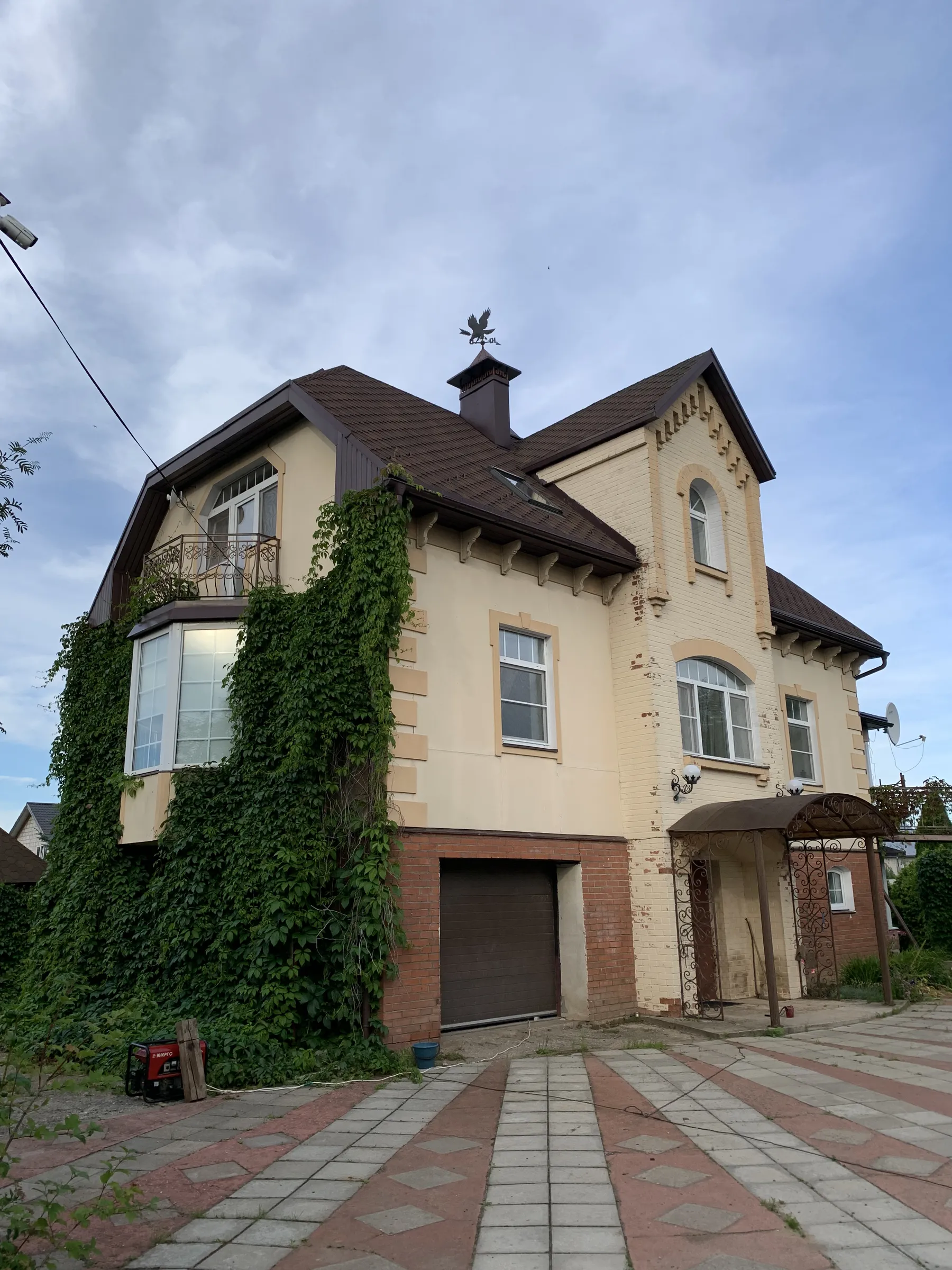 Плющевой дом с флюгером, фото 1