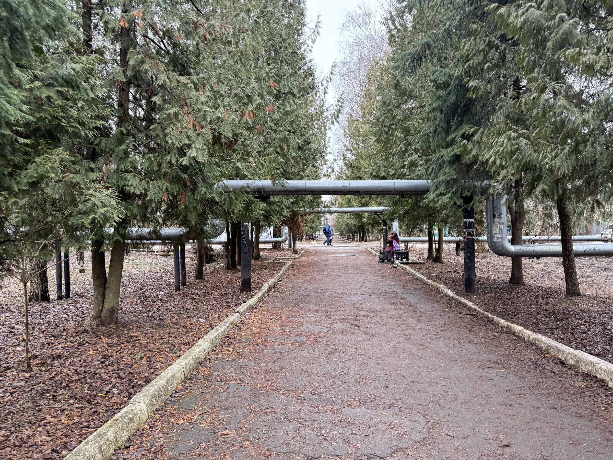Офицерский клуб с колоннами, фото 24