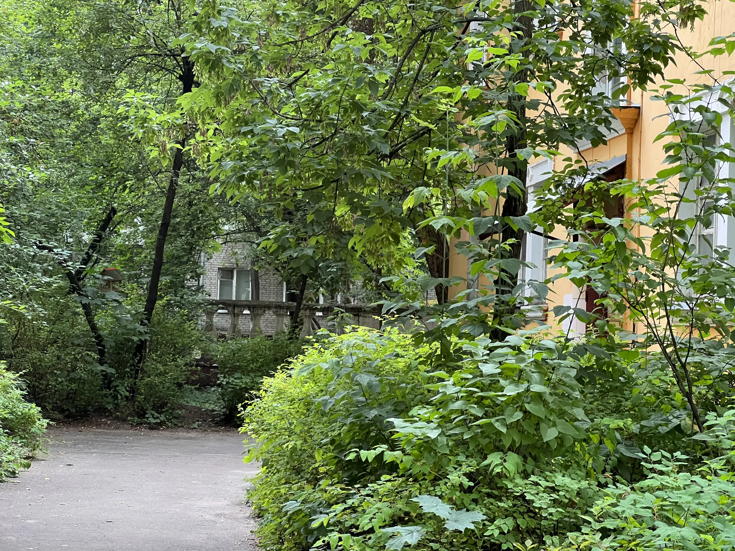 Двор сталинской застройки, фото 24