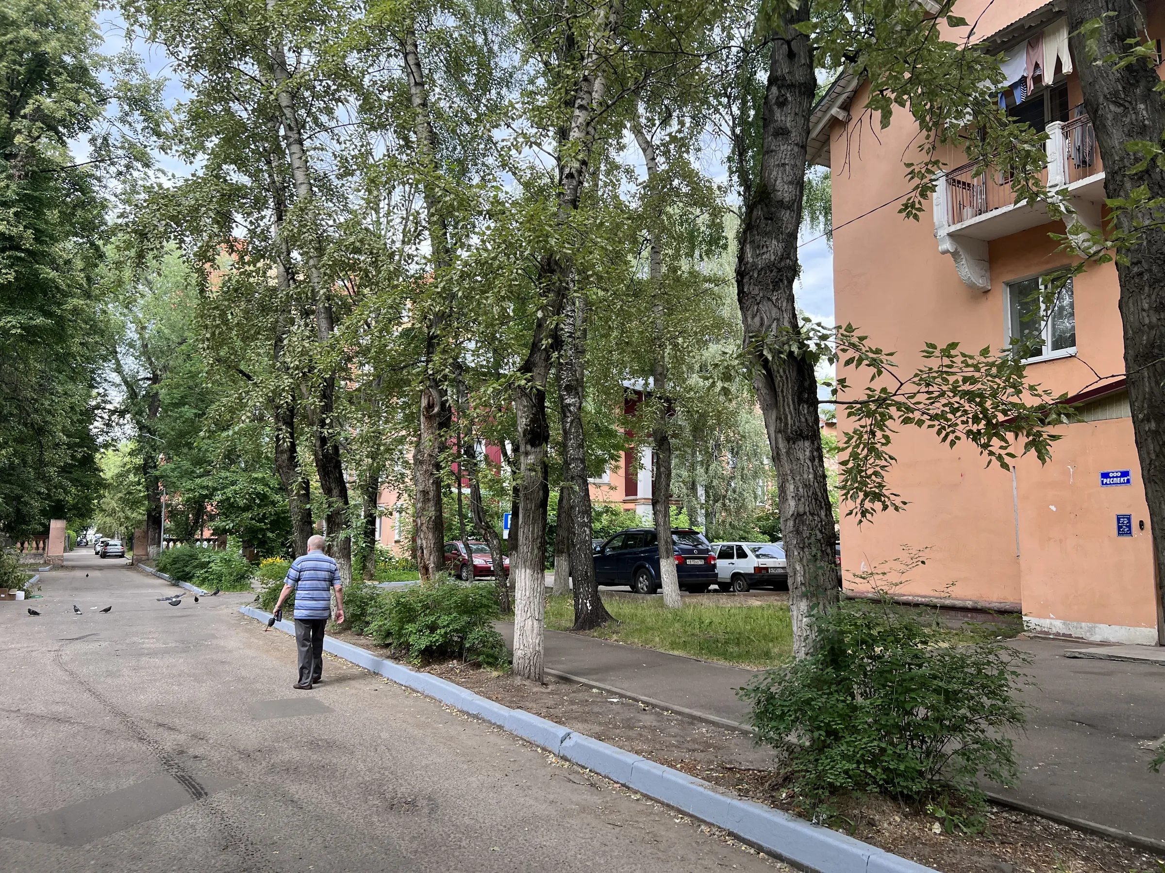 Двор сталинской застройки, фото 9