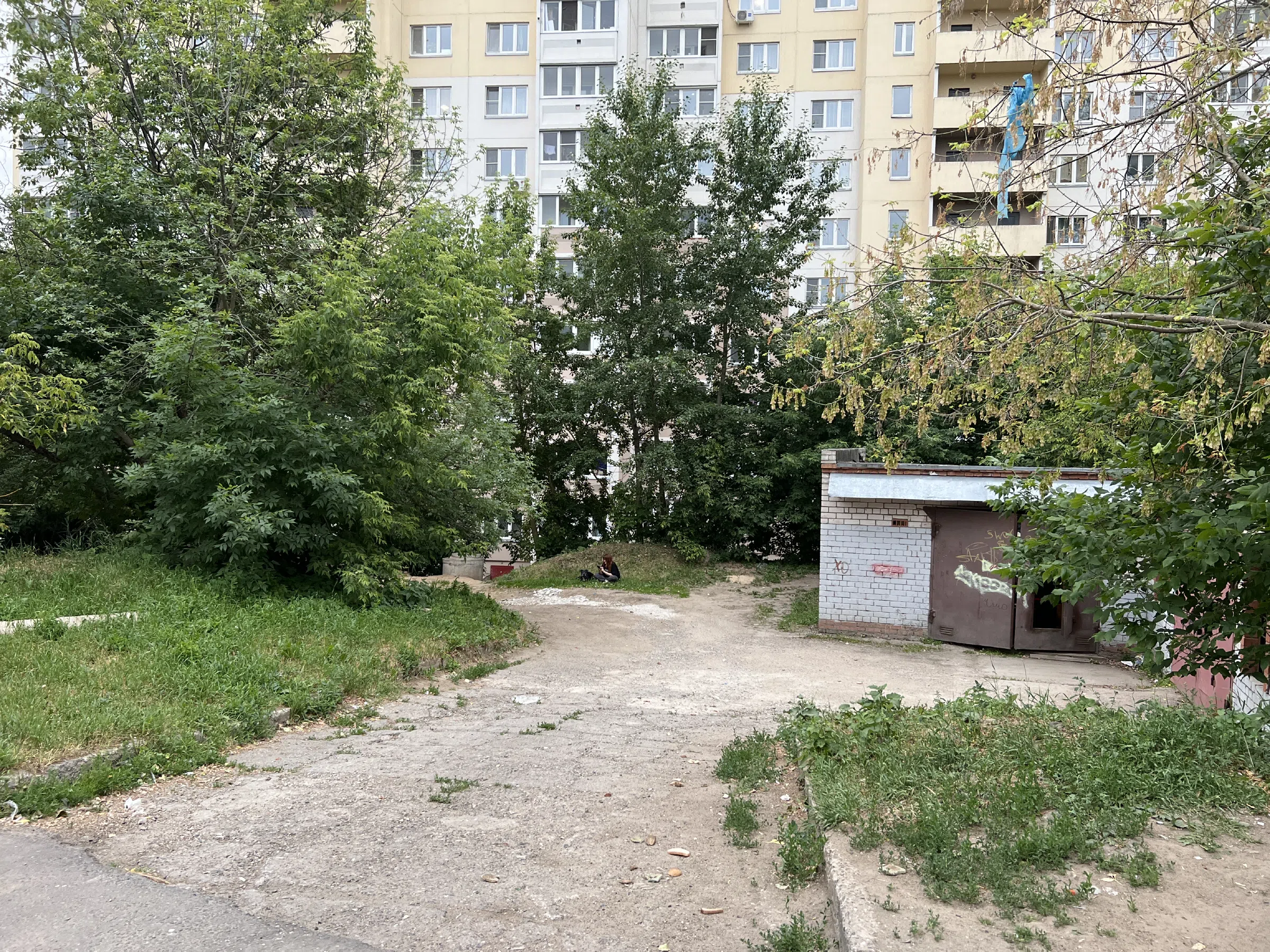 Двор разножопица, фото 2