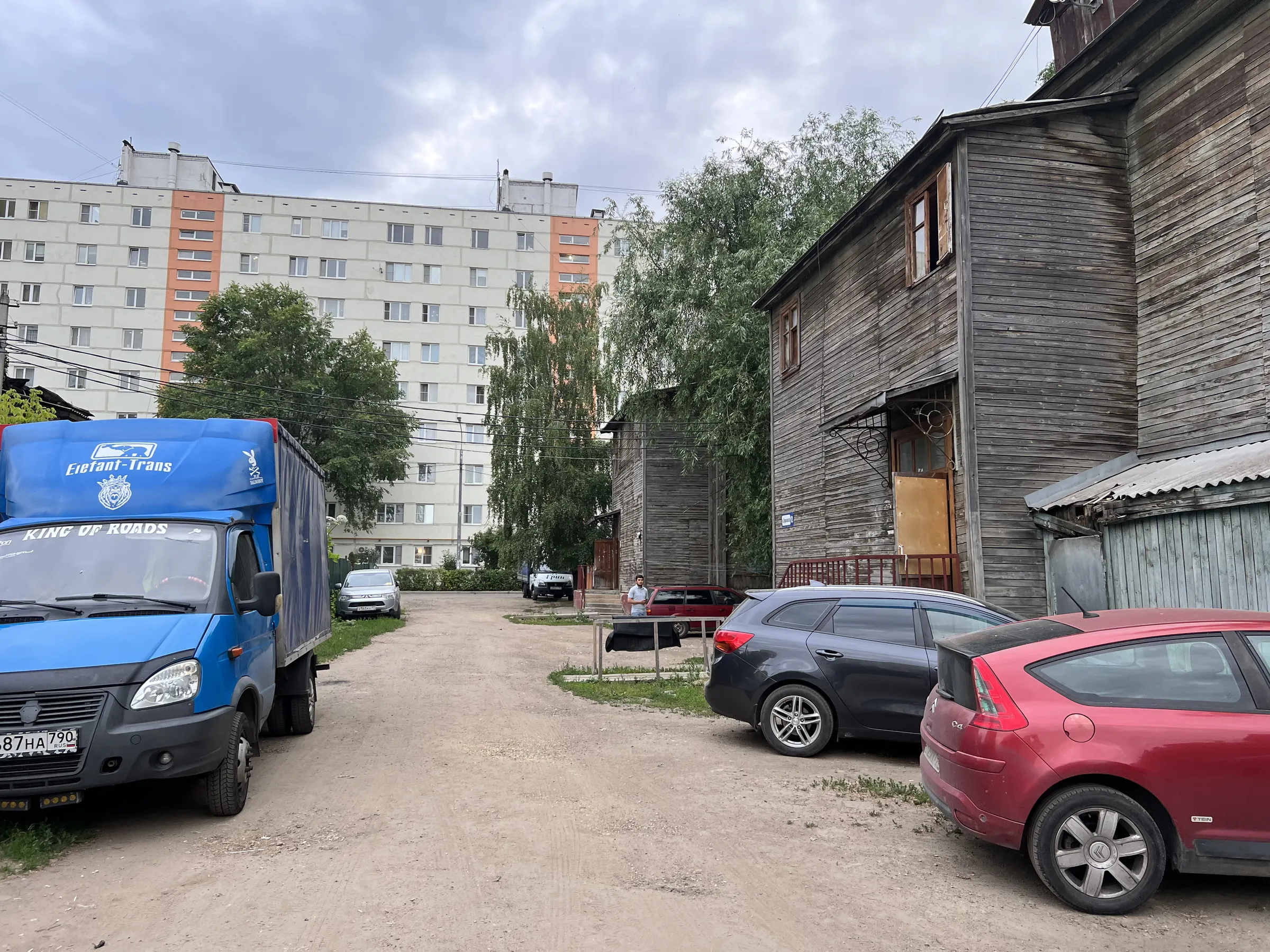 Двор разножопица, фото 19