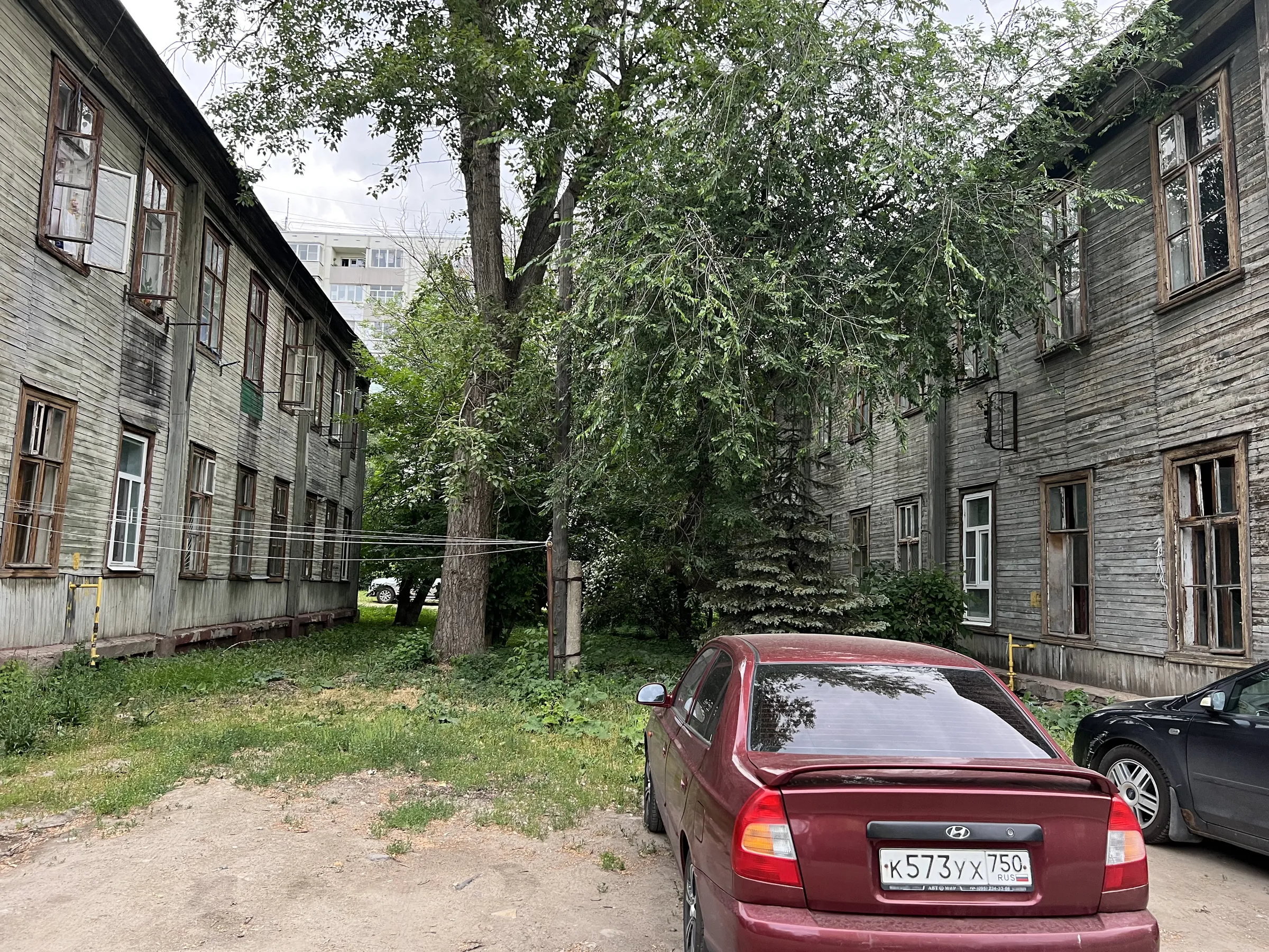 Двор разножопица, фото 17