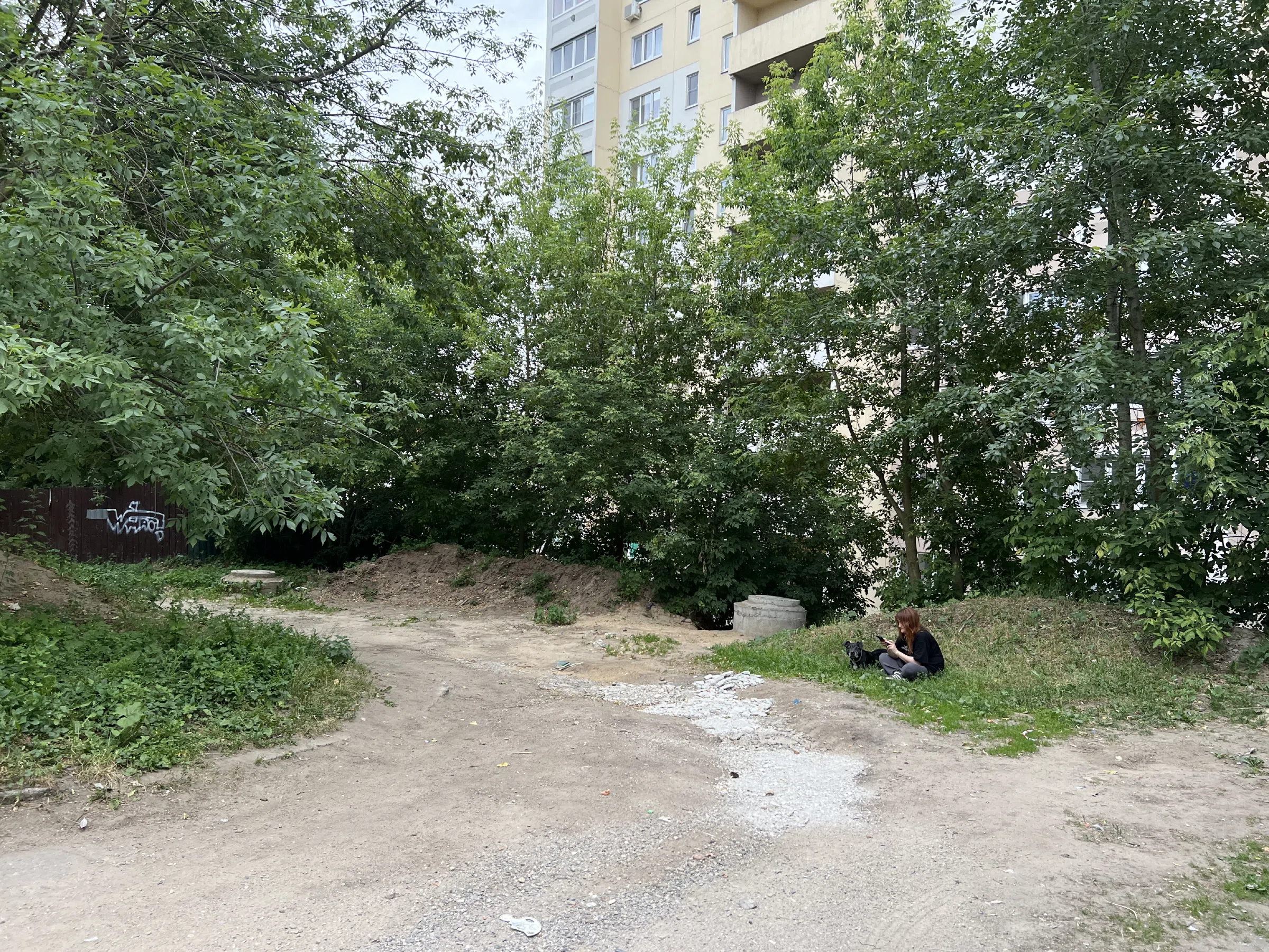 Двор разножопица, фото 6