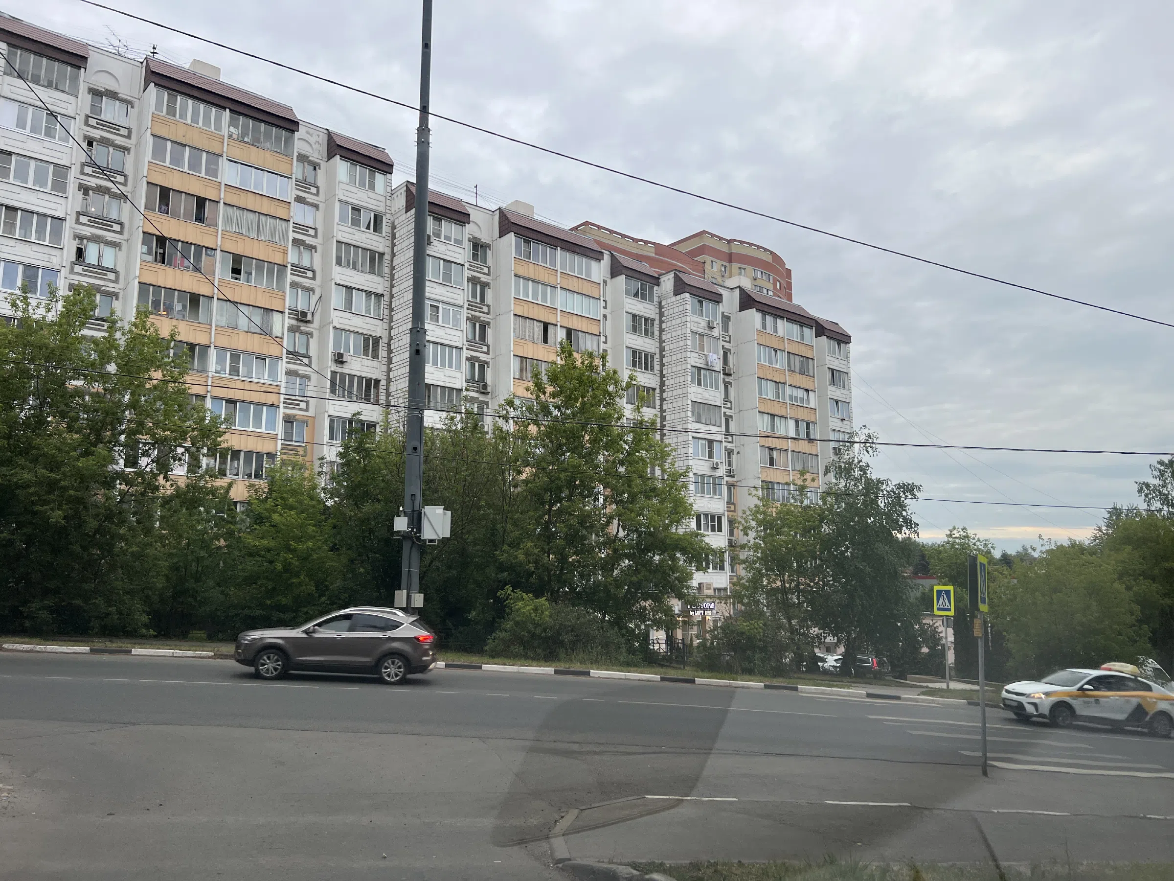 Двор разножопица, фото 12