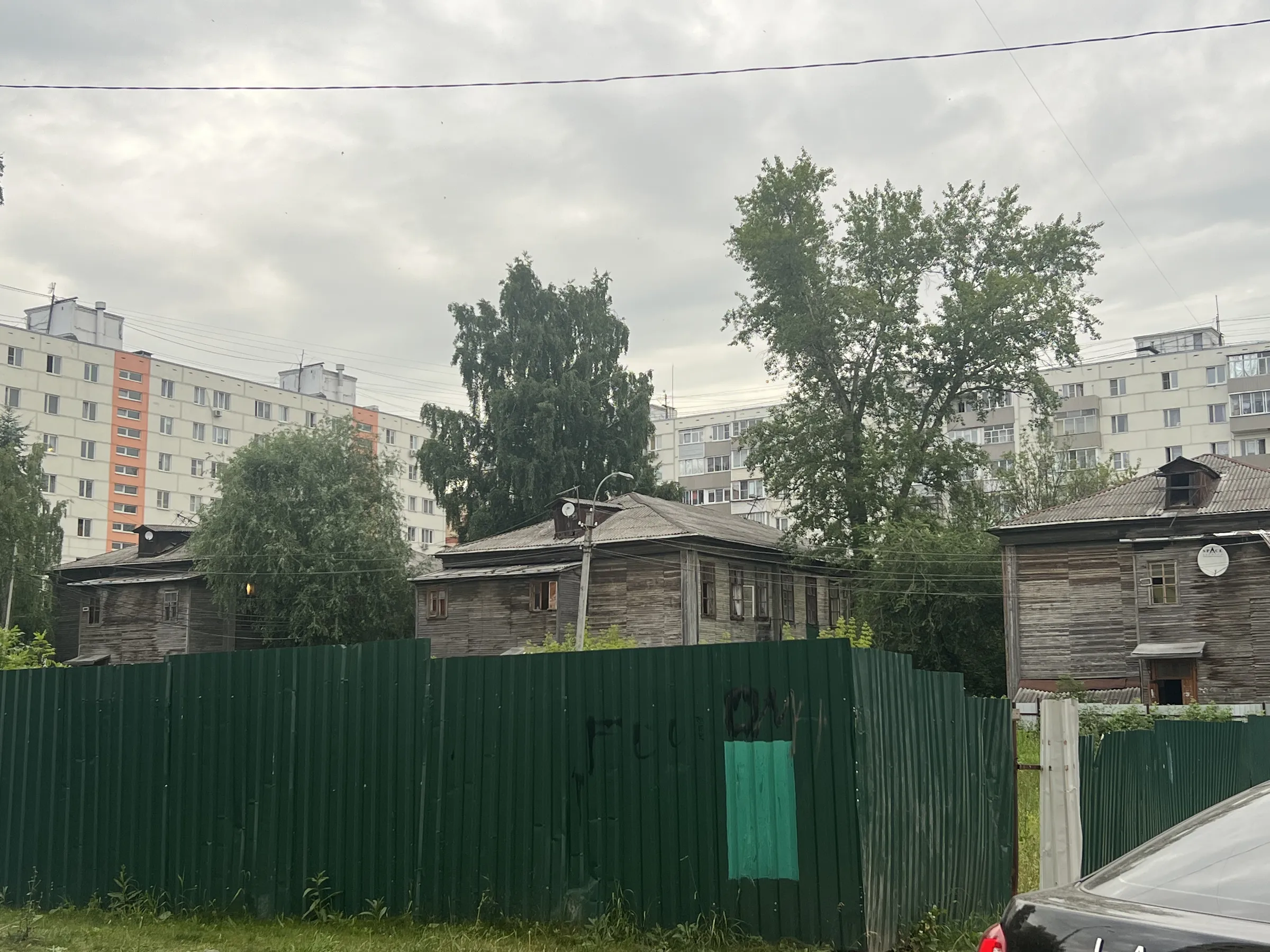 Двор разножопица, фото 14