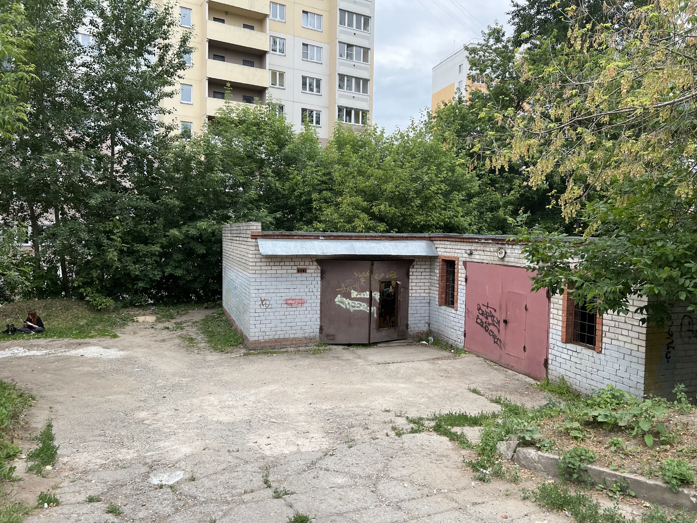 Двор разножопица, фото 5