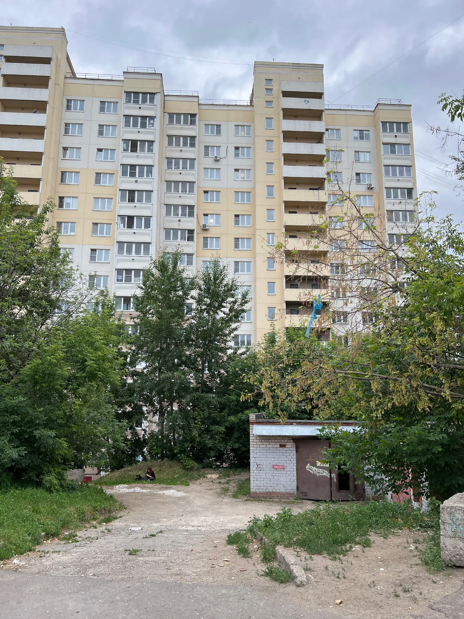 Двор разножопица, фото 10