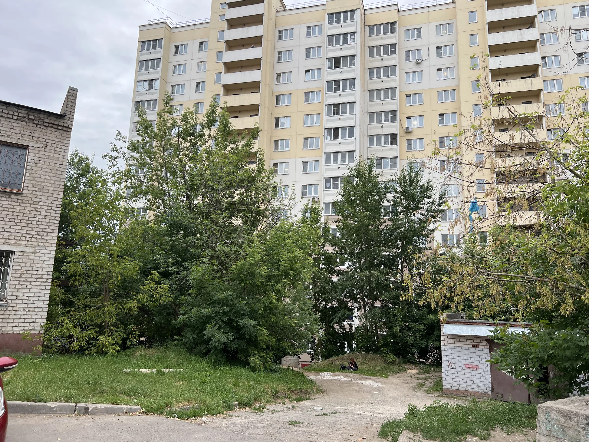Двор разножопица, фото 11