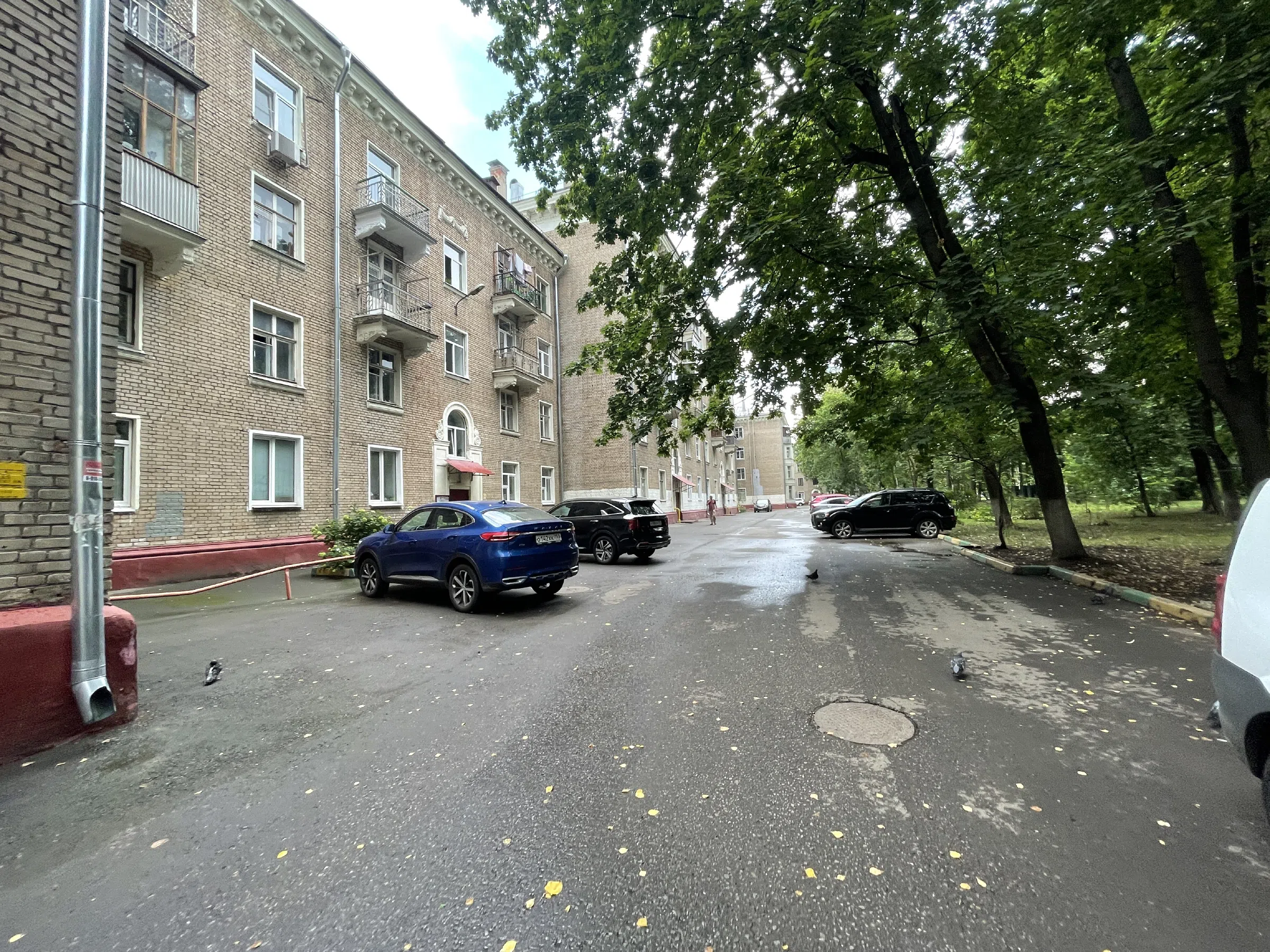 Двор с видом на парк, фото 6