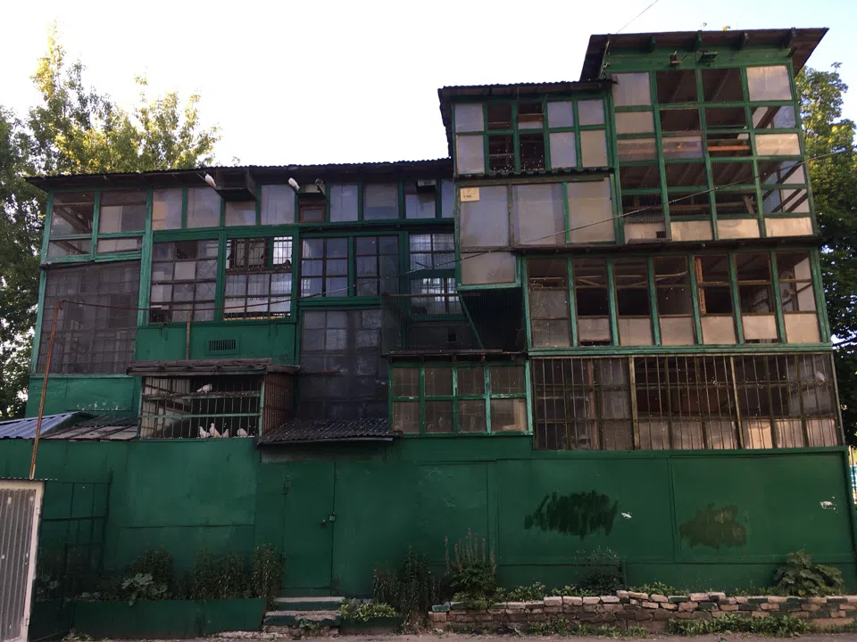 Деревенский дворик, фото 14