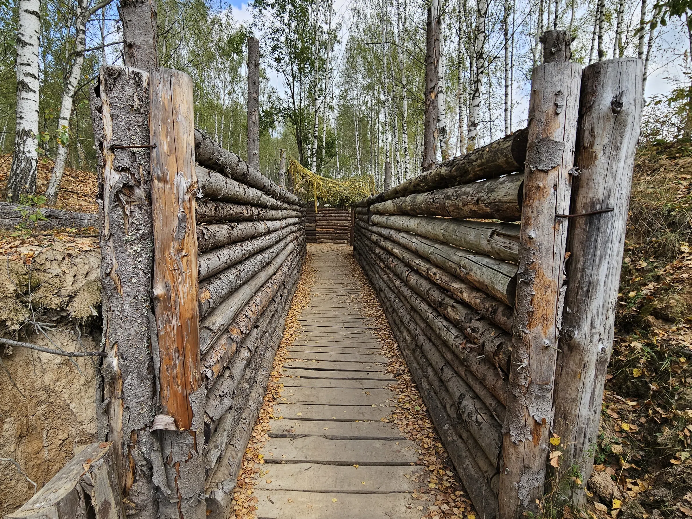 Лесные окопы, фото 2