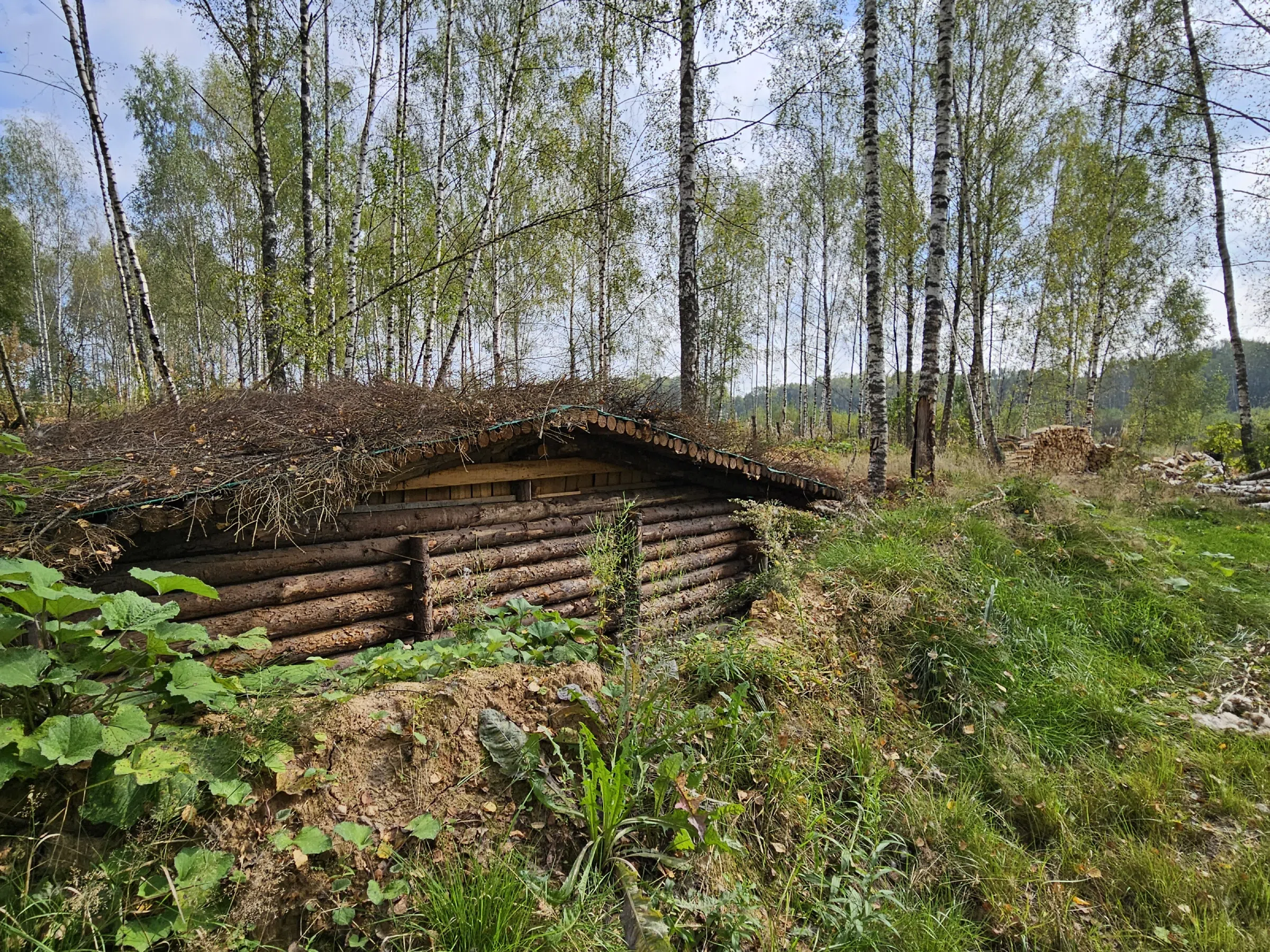 Лесные окопы, фото 24