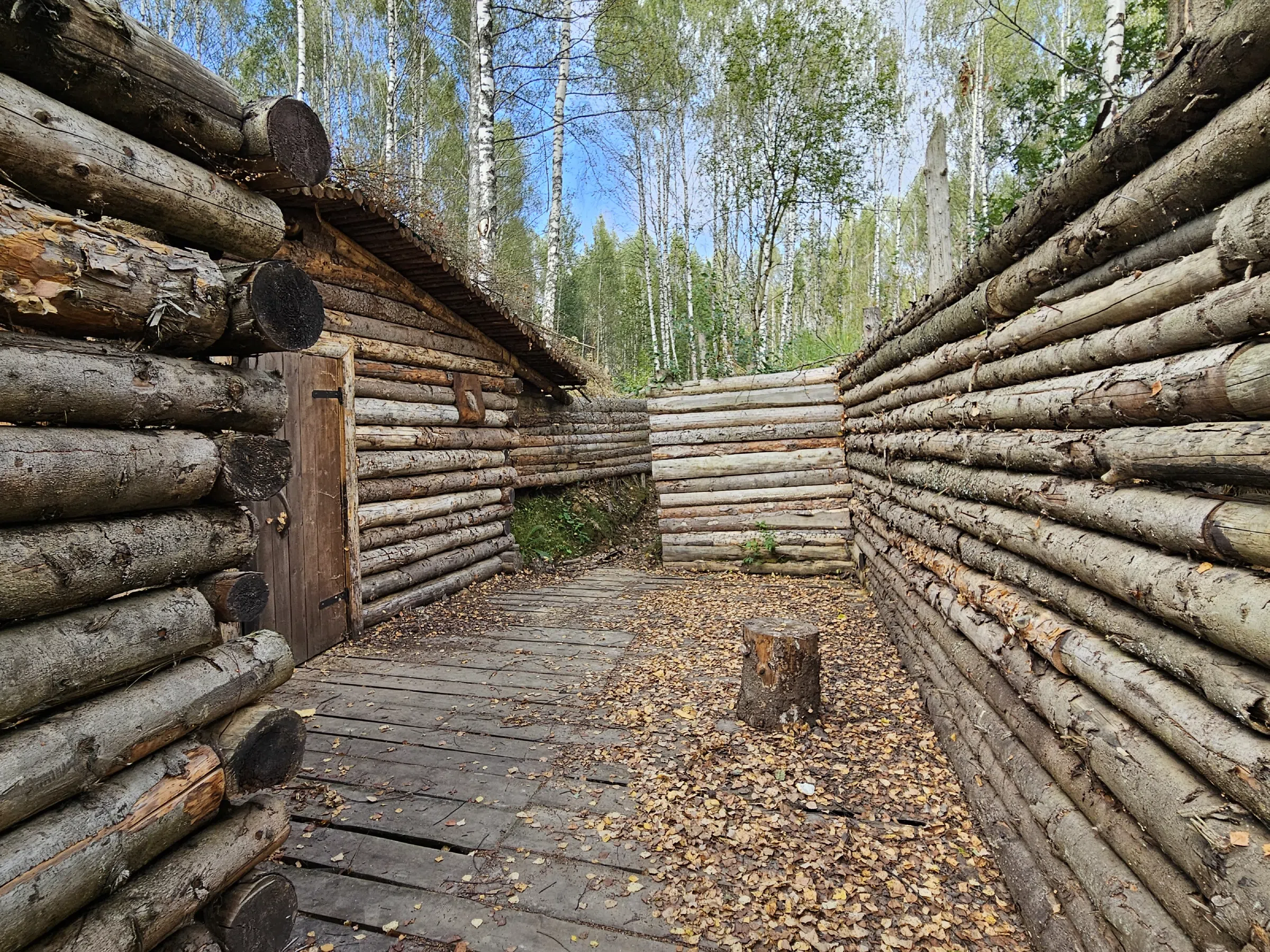 Лесные окопы, фото 21