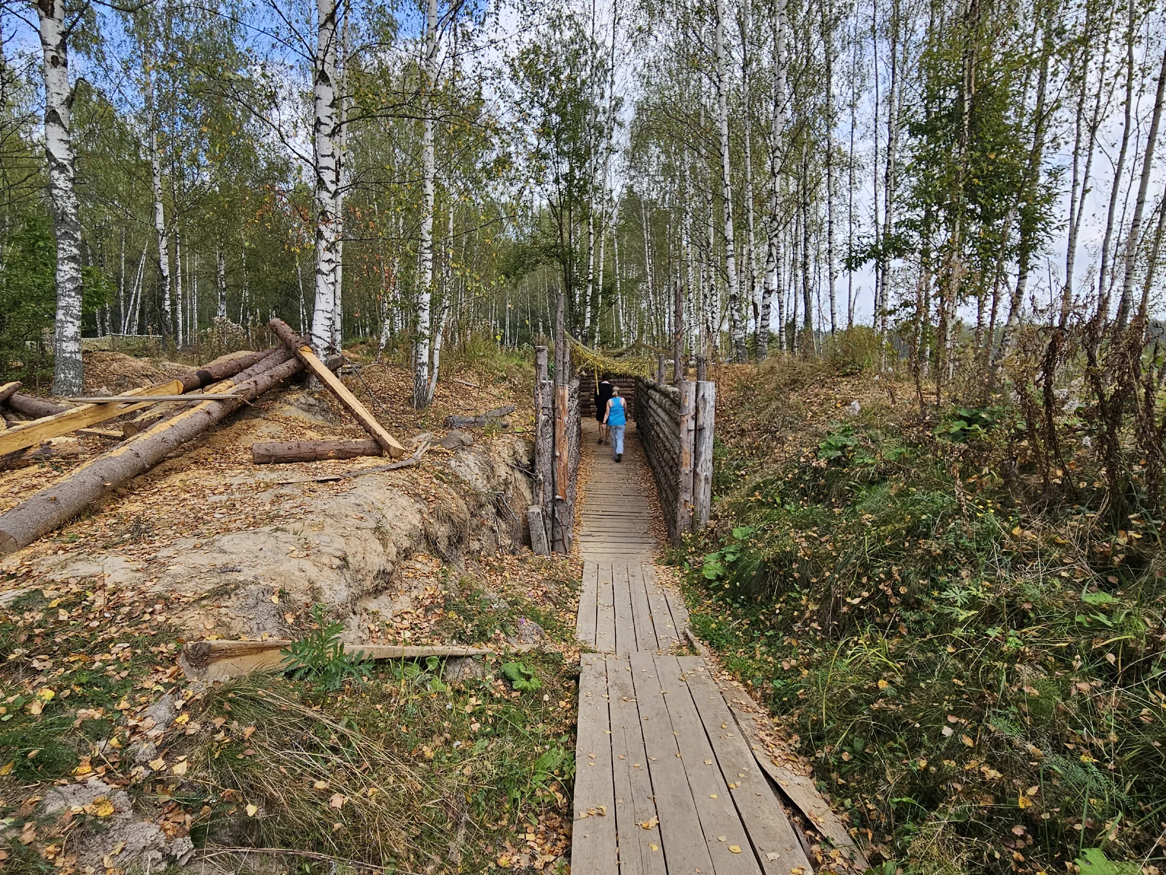 Лесные окопы, фото 1