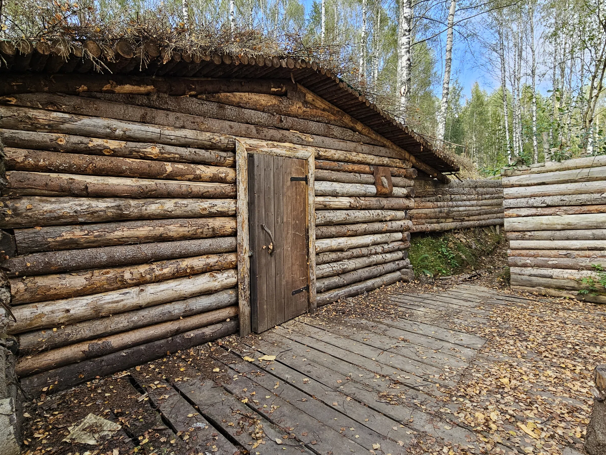 Лесные окопы, фото 22