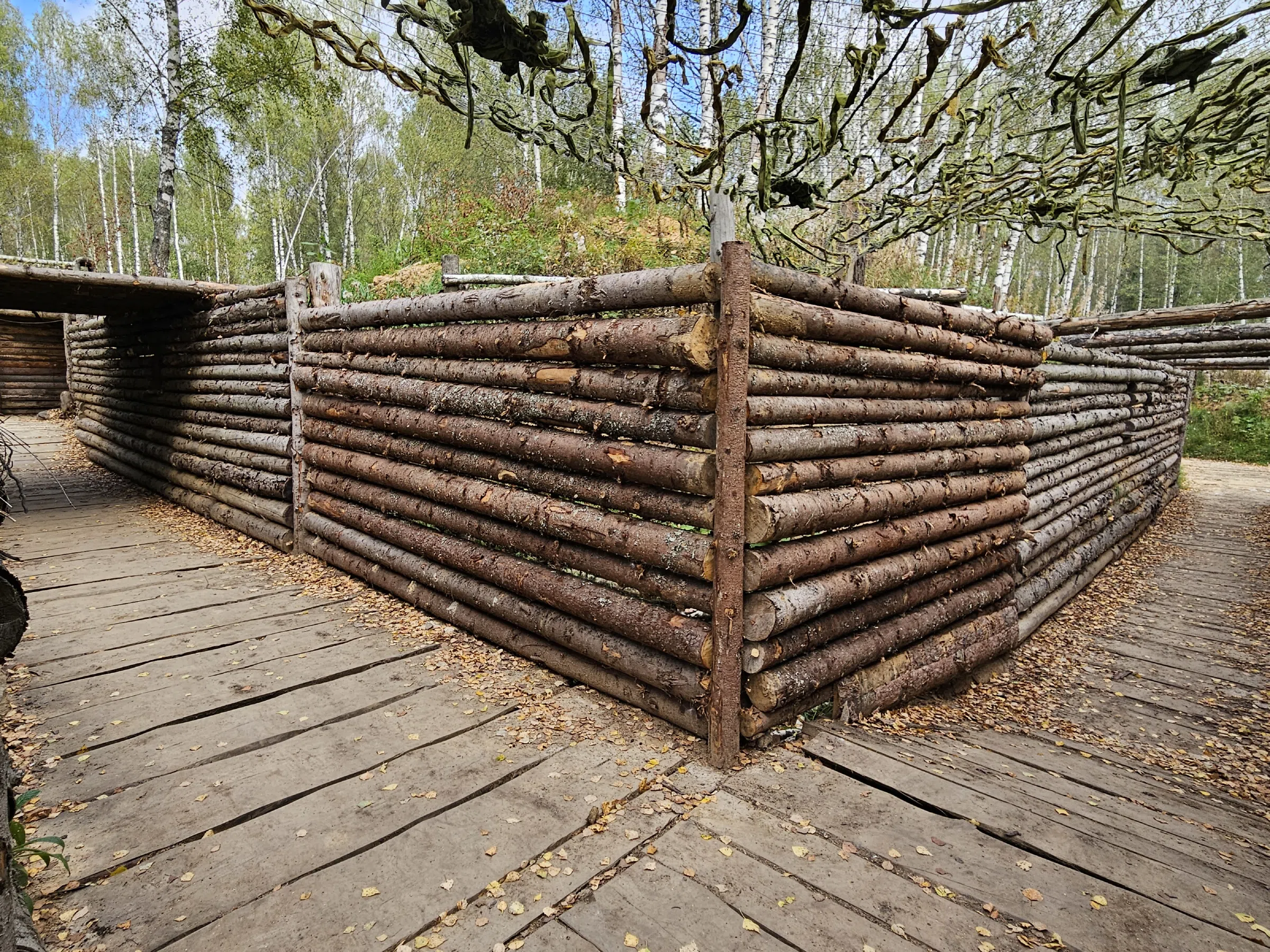 Лесные окопы, фото 7