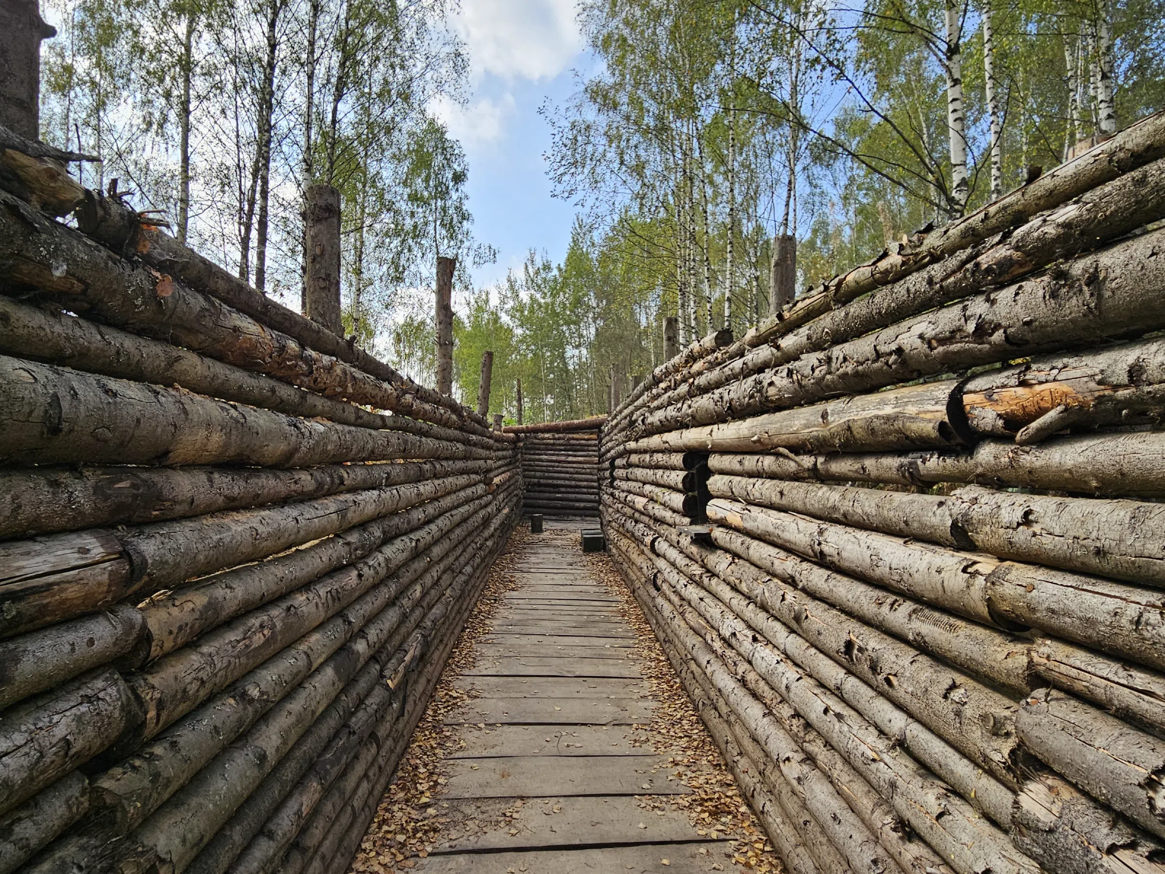 Лесные окопы, фото 20