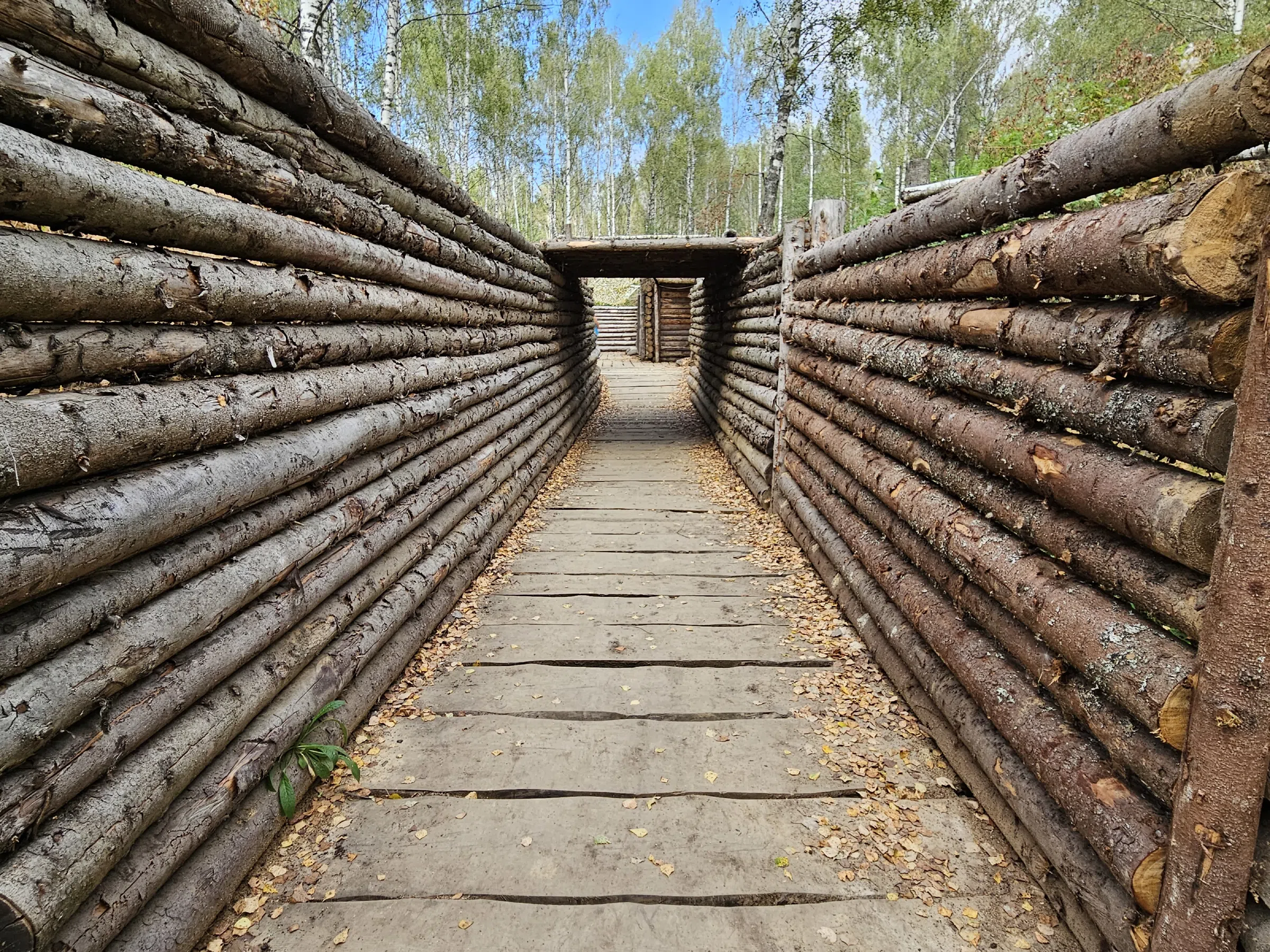 Лесные окопы, фото 6