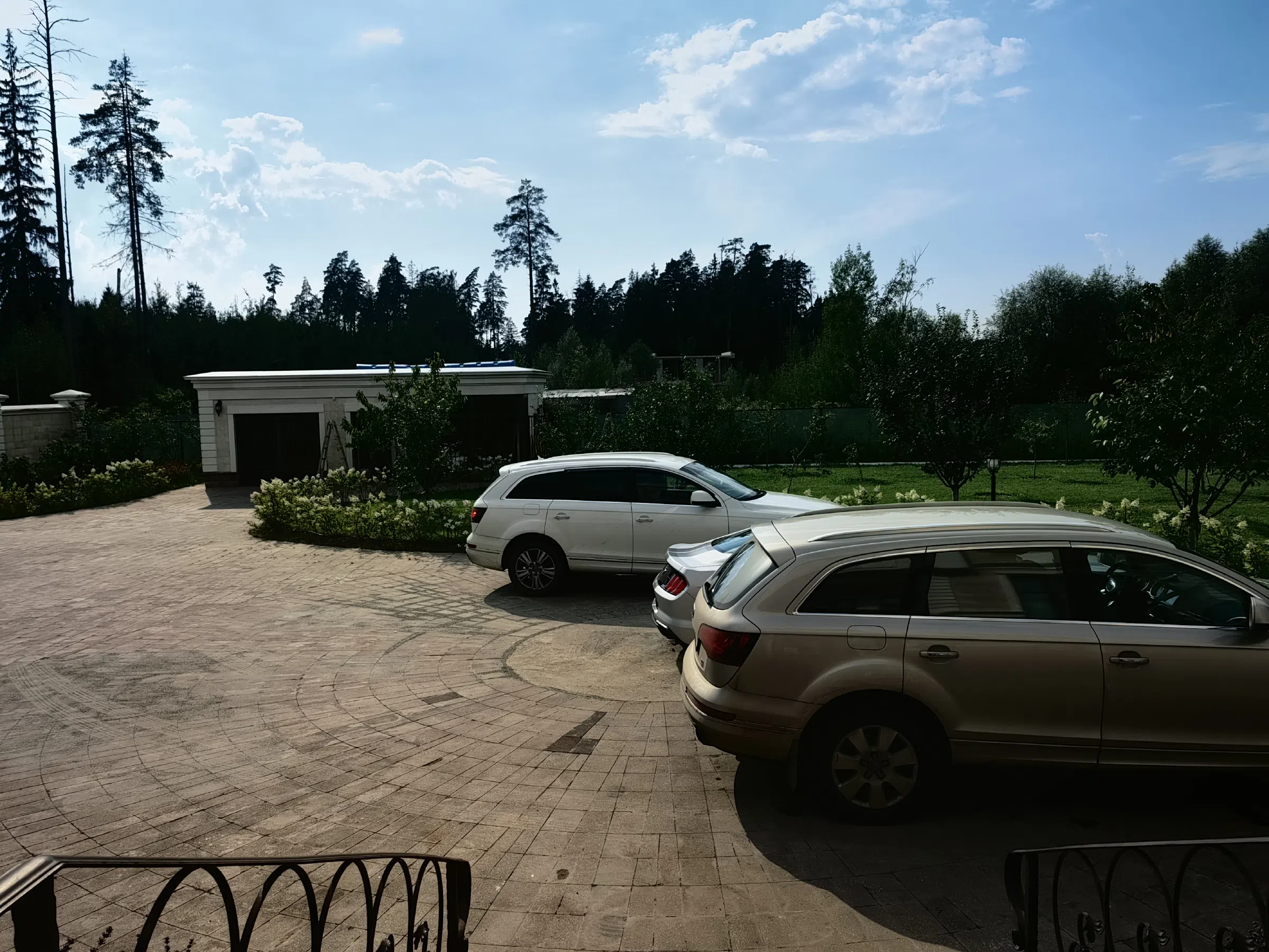 Панорама леса Бассейн, фото 1