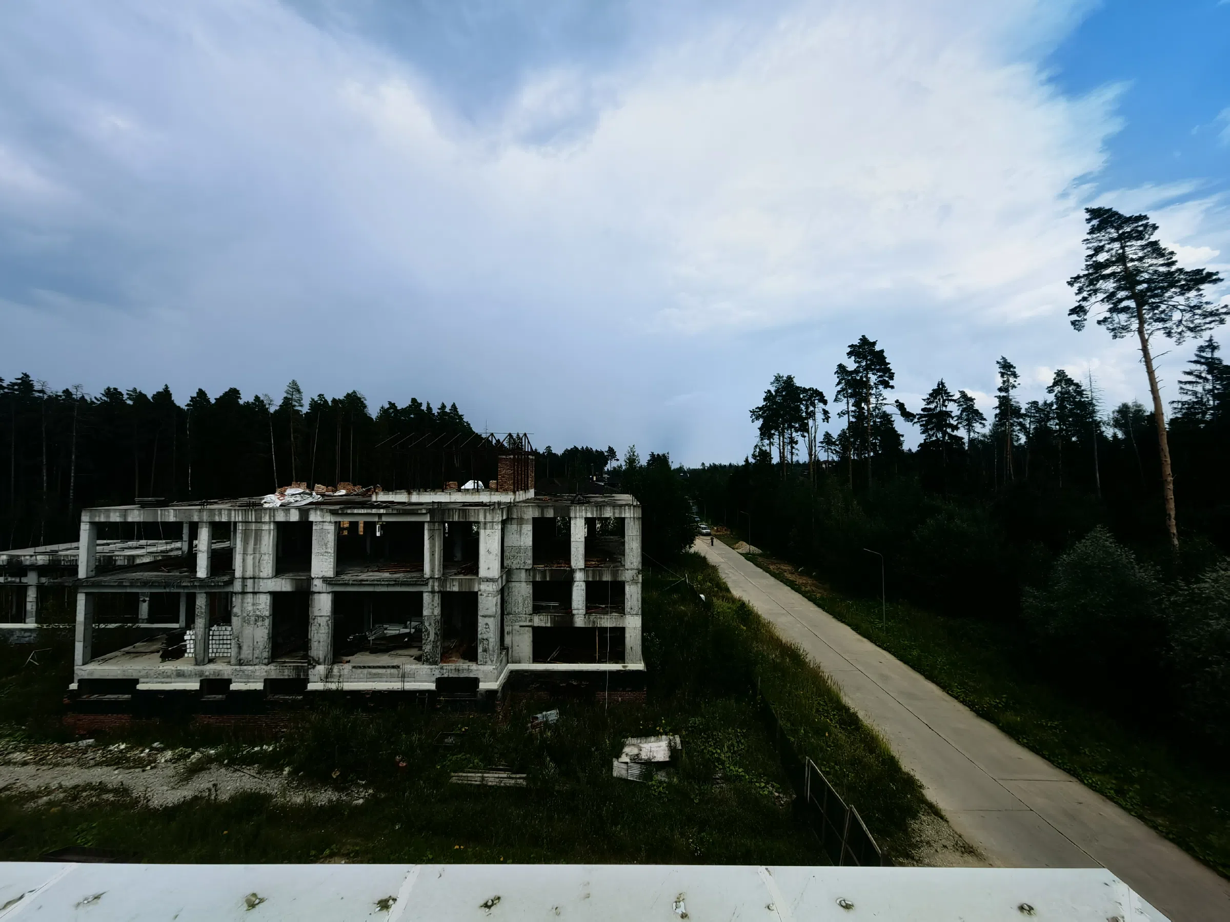 Панорама леса Бассейн, фото 24