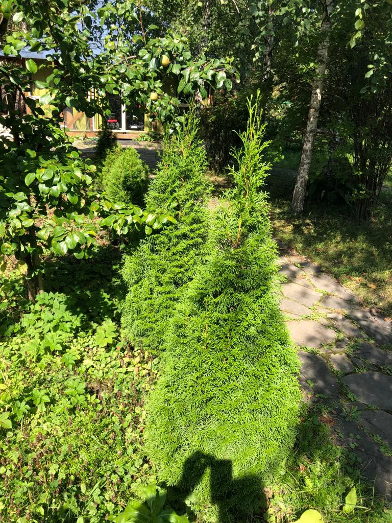 Загородный дом с башенкой, фото 16