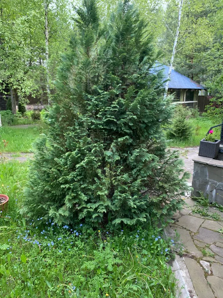 Загородный дом с башенкой, фото 12
