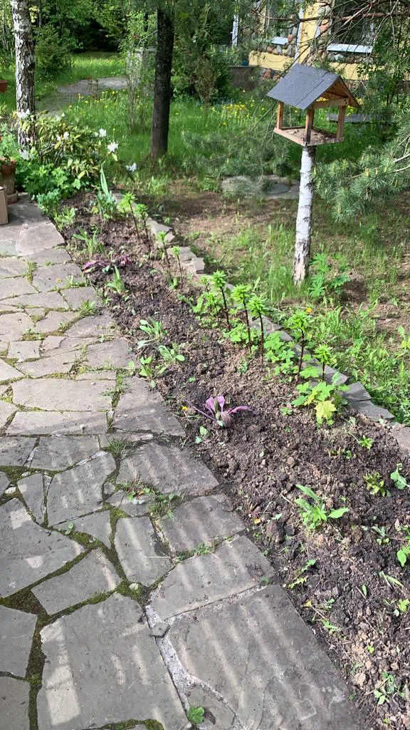 Загородный дом с башенкой, фото 13