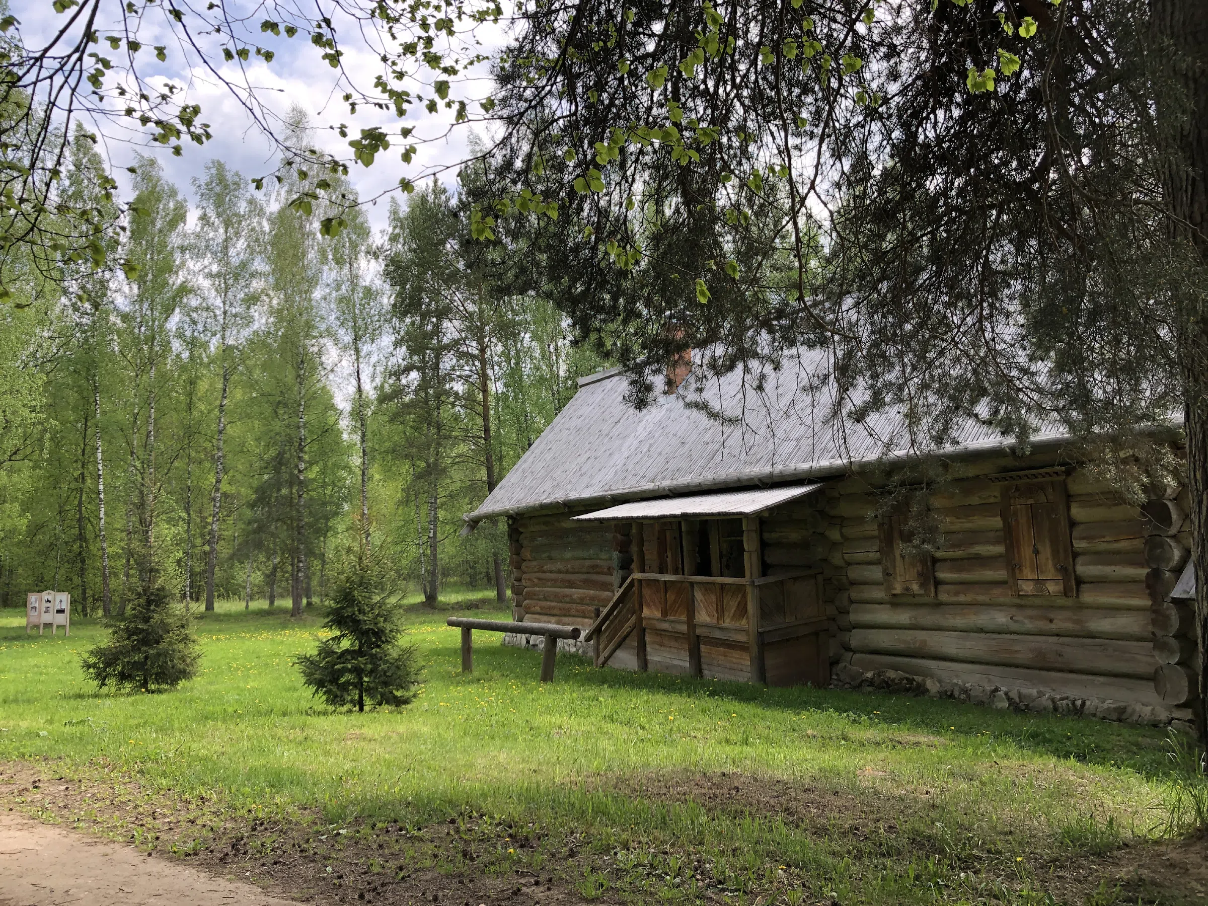 Деревенская изба в лесу, фото 7