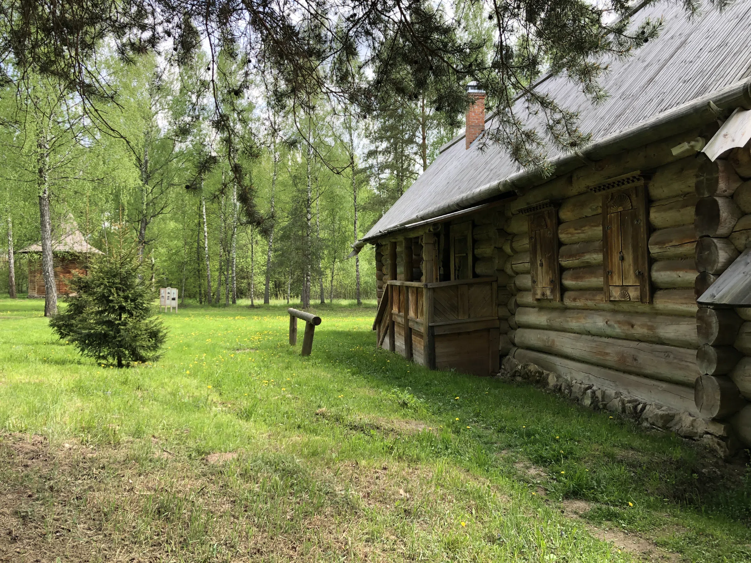 Деревенская изба в лесу, фото 10