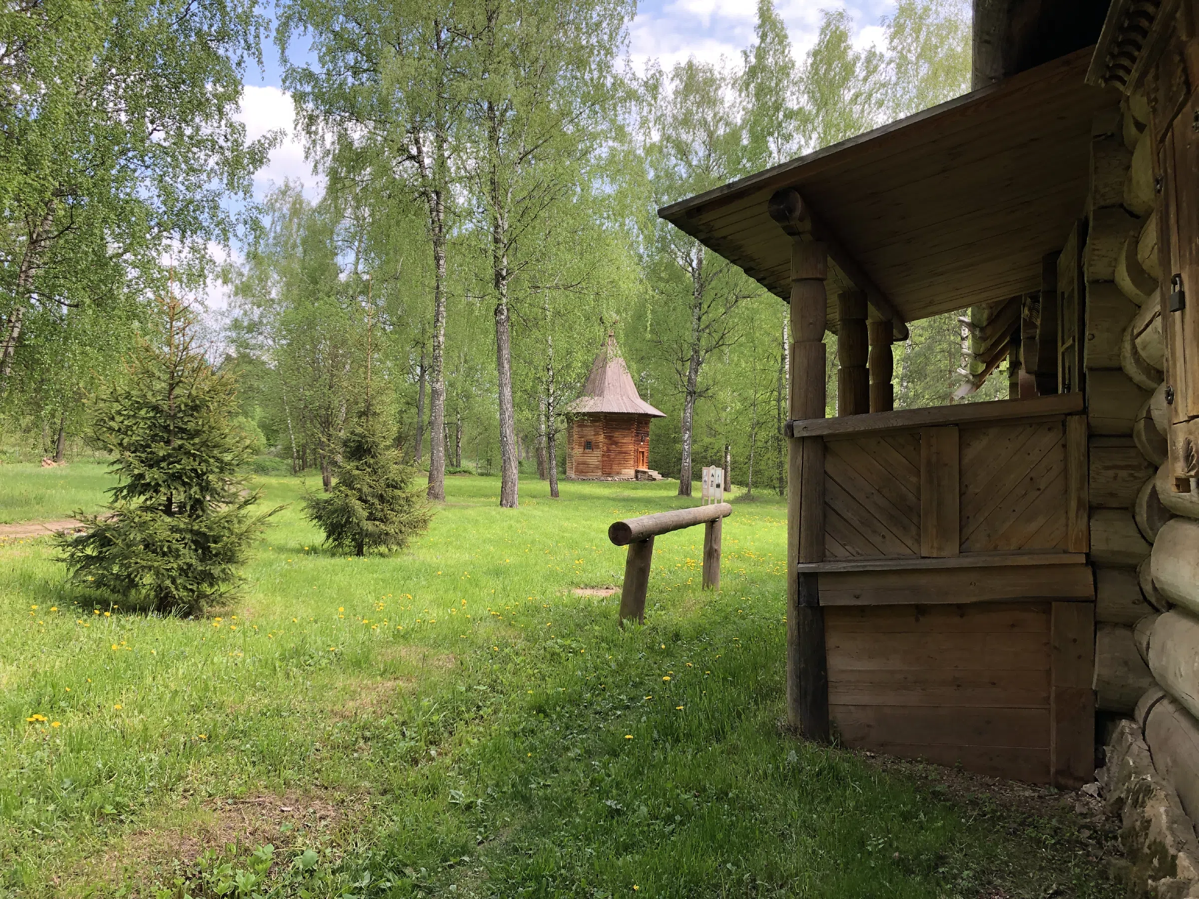 Деревенская изба в лесу, фото 11
