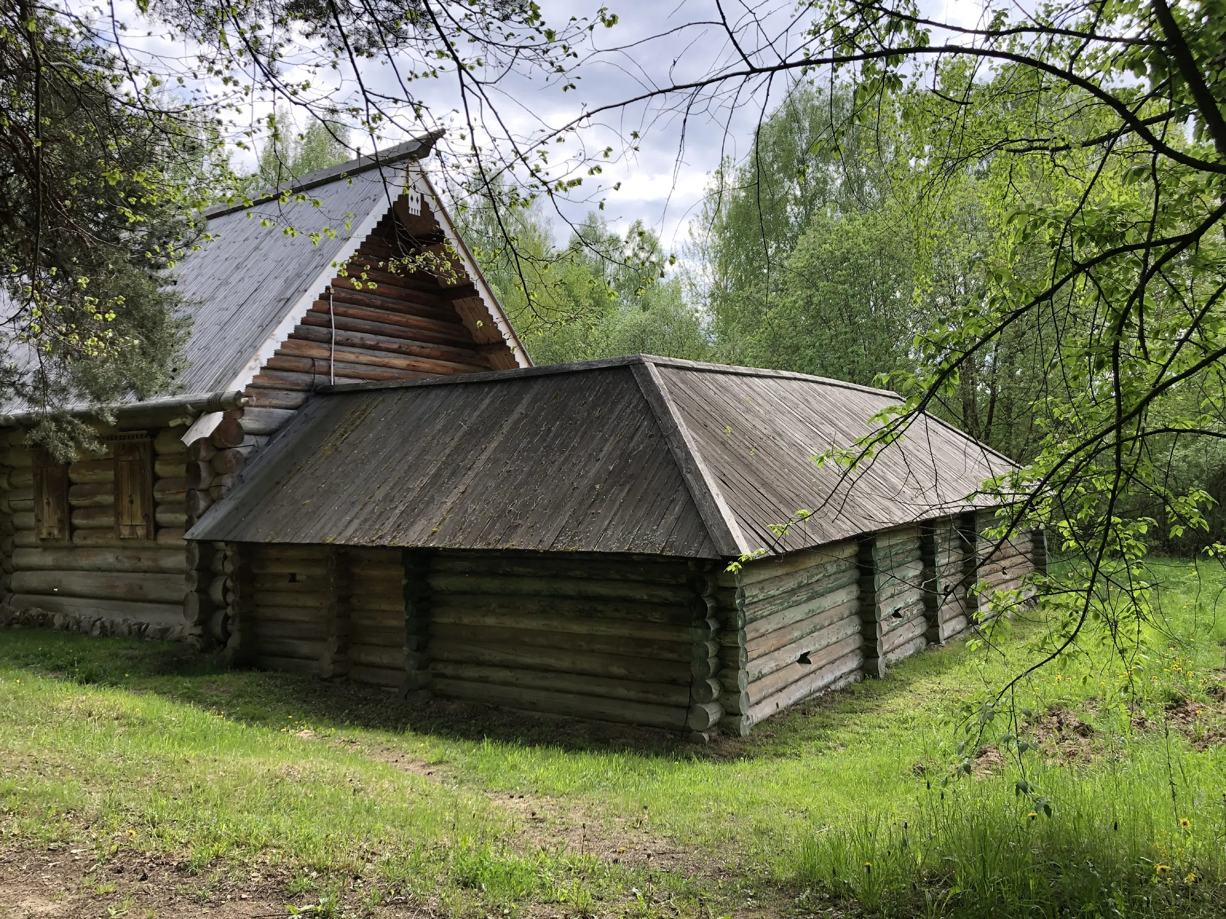 Деревенская изба в лесу, фото 9