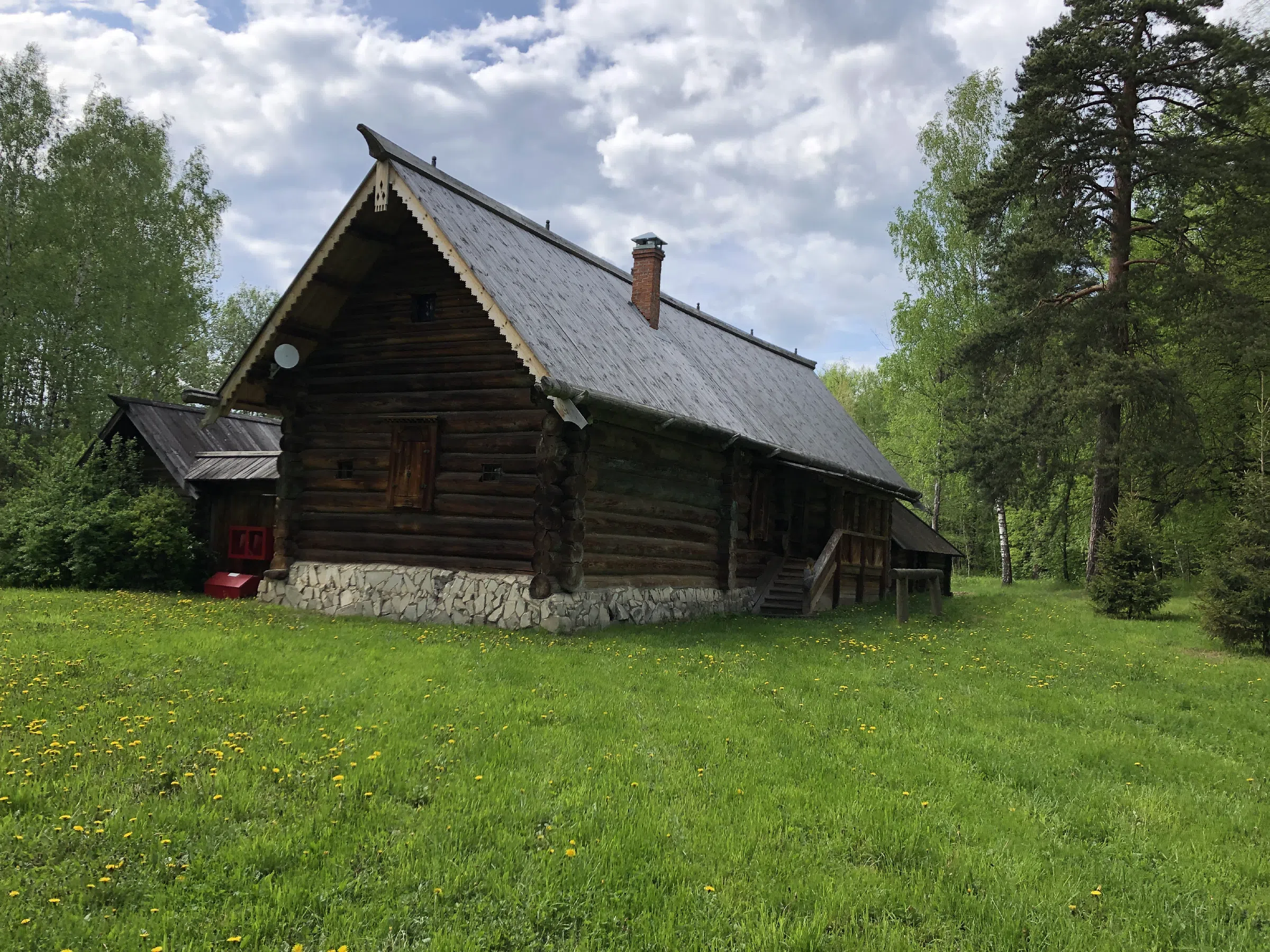 Деревенская изба в лесу, фото 3