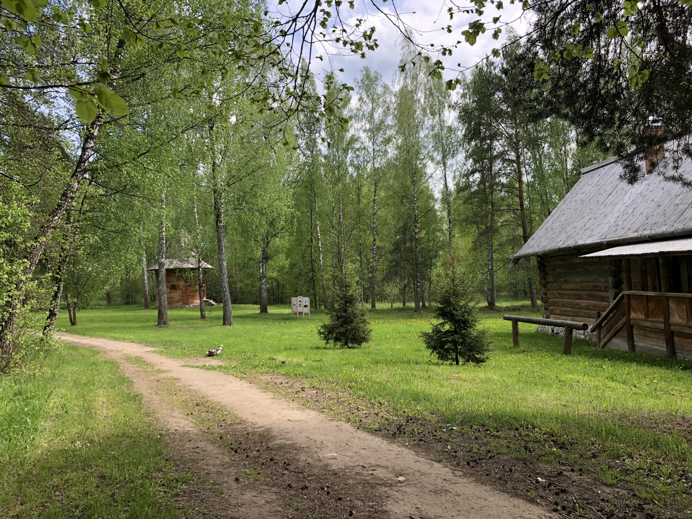 Деревенская изба в лесу, фото 8